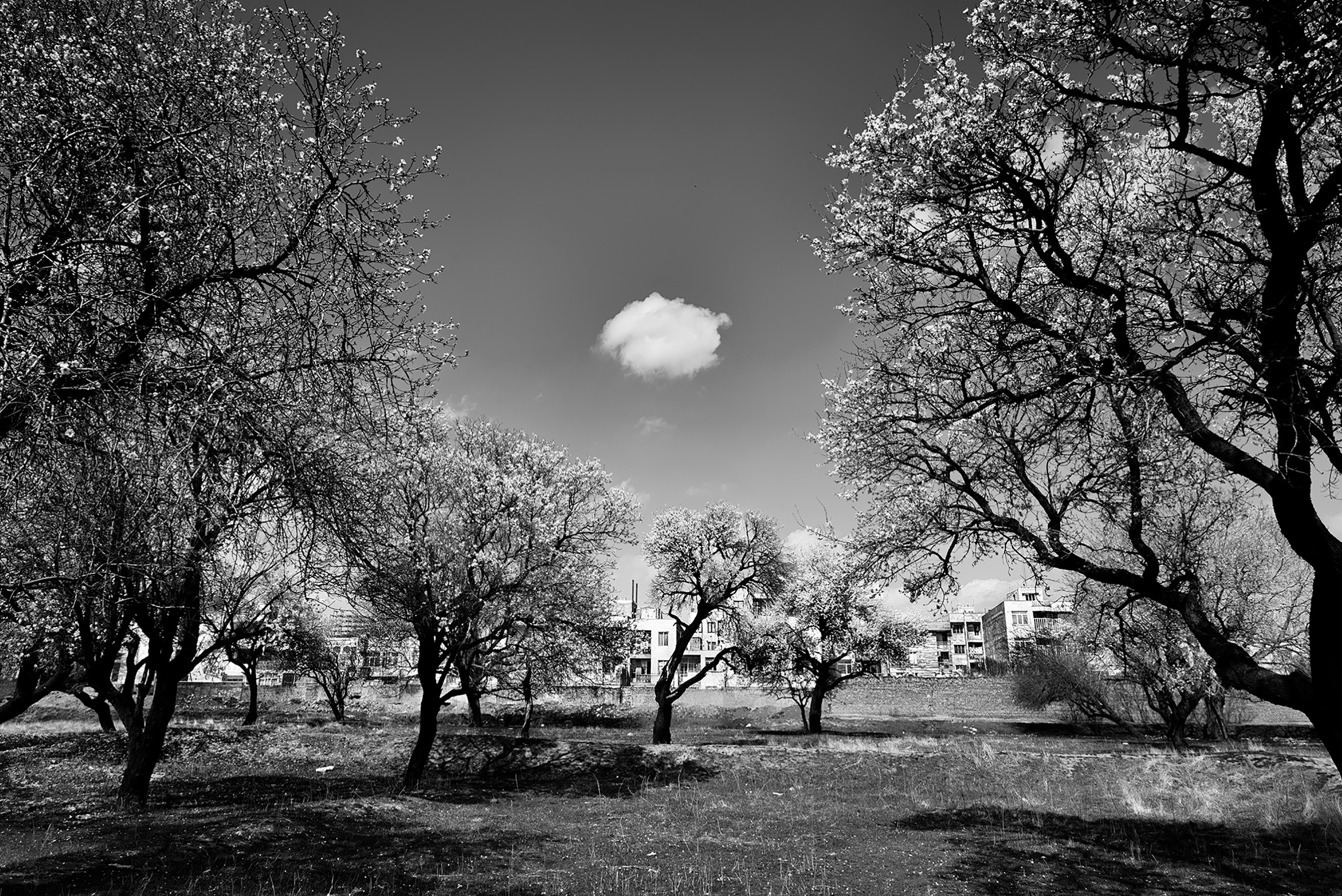 اثر بودن از مجید شقایی فلاح اثر بودن از مجید شقایی فلاح