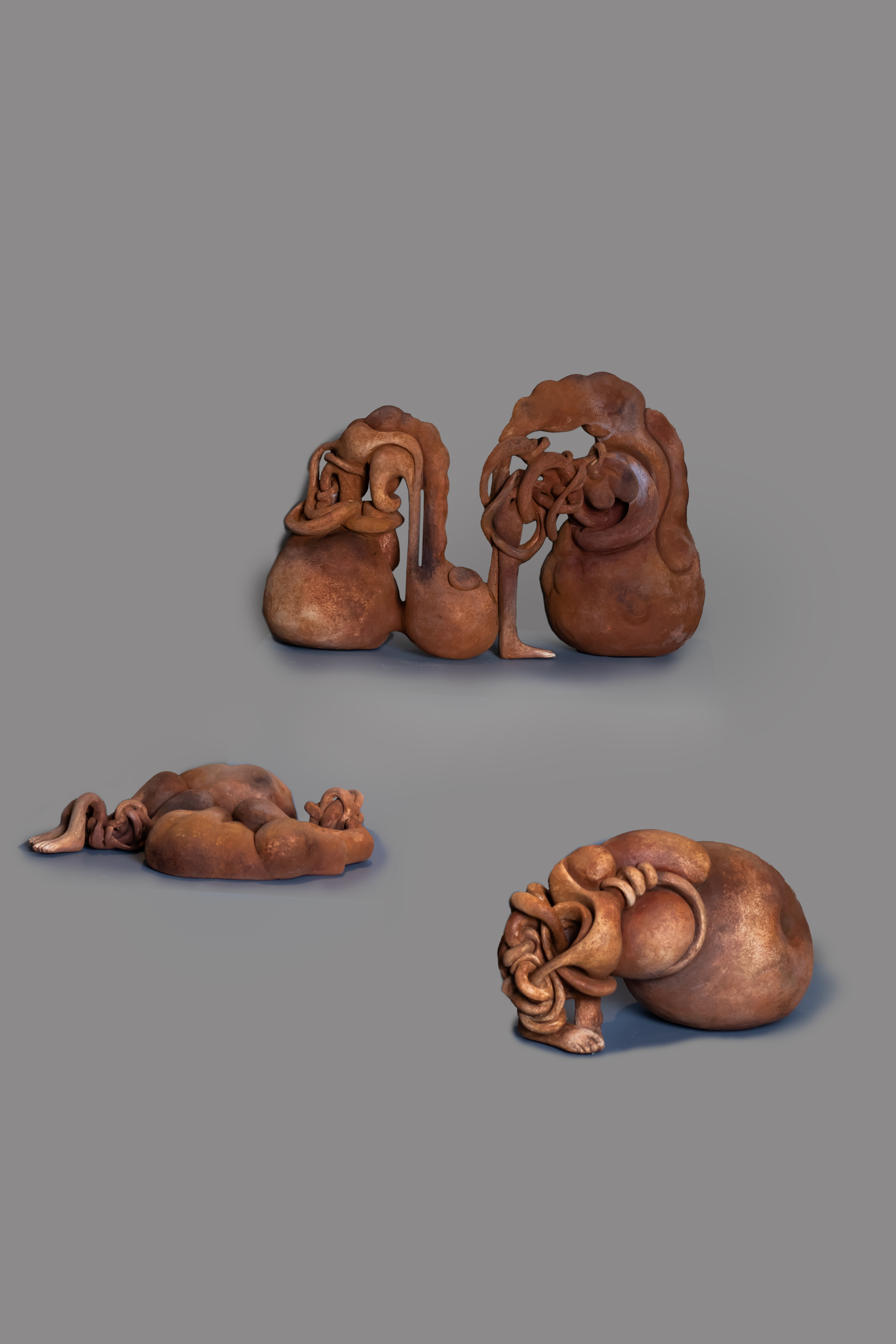 نطفه های جنینی معاصر | | آرتیبیشن نطفه های جنینی معاصر | | آرتیبیشن