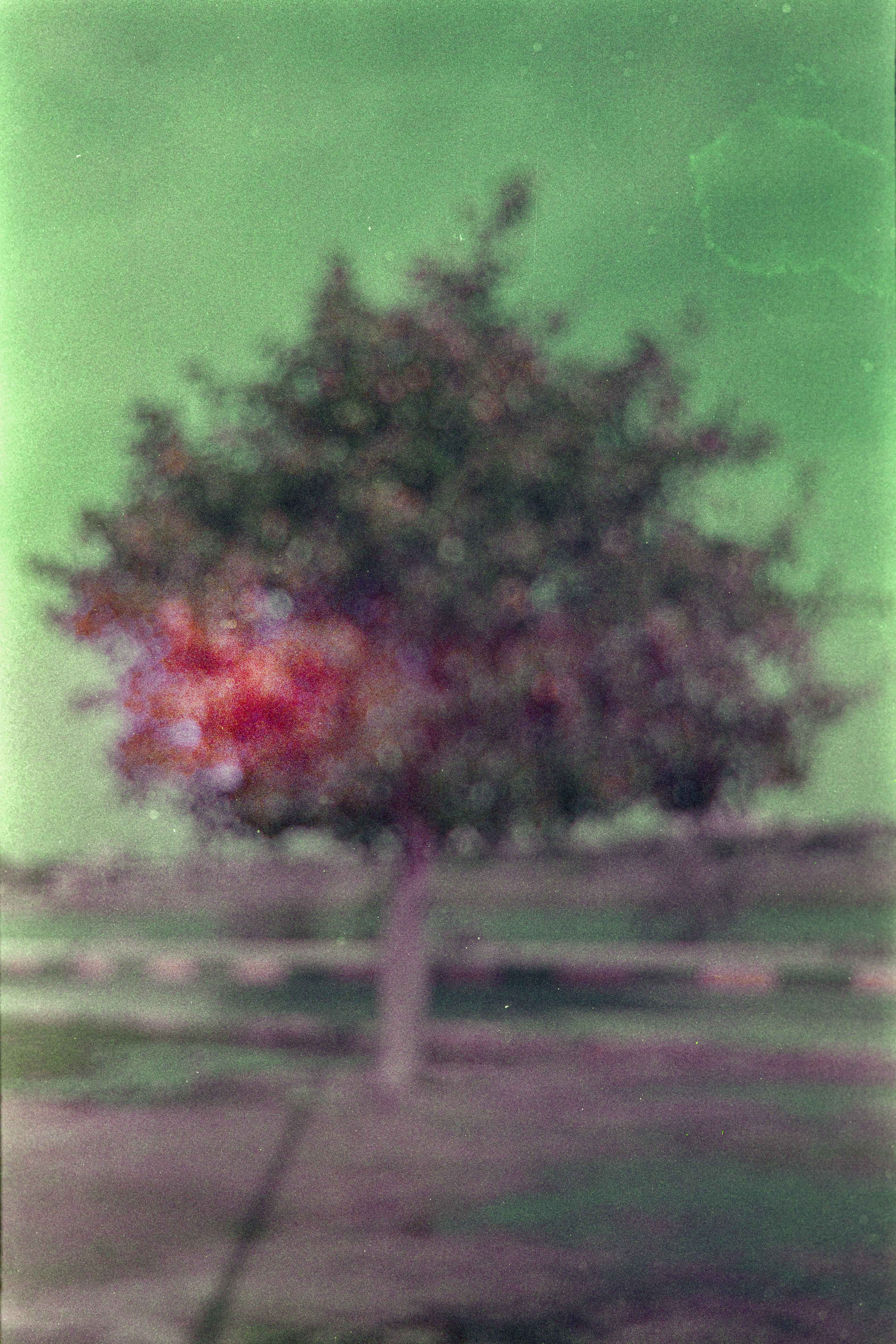 اثر بدون عنوان از مهران سبزقبایی اثر بدون عنوان از مهران سبزقبایی