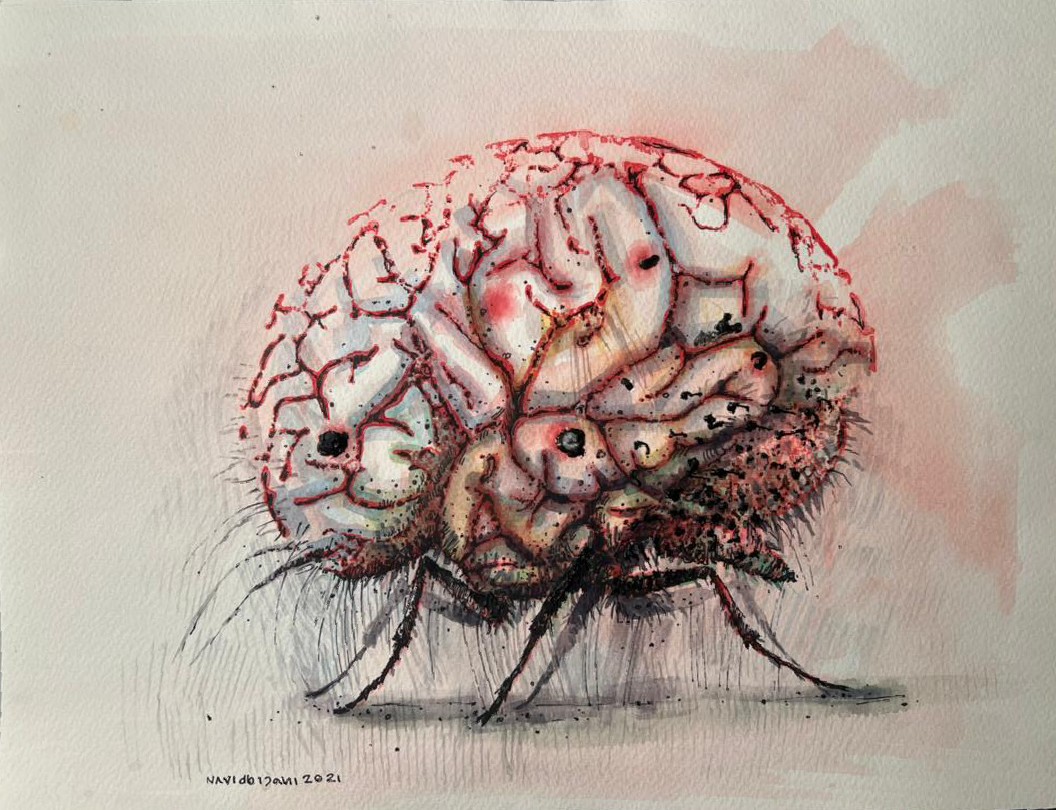 Artwork the brain 13 by navid bijani Artwork the brain 13 by navid bijani