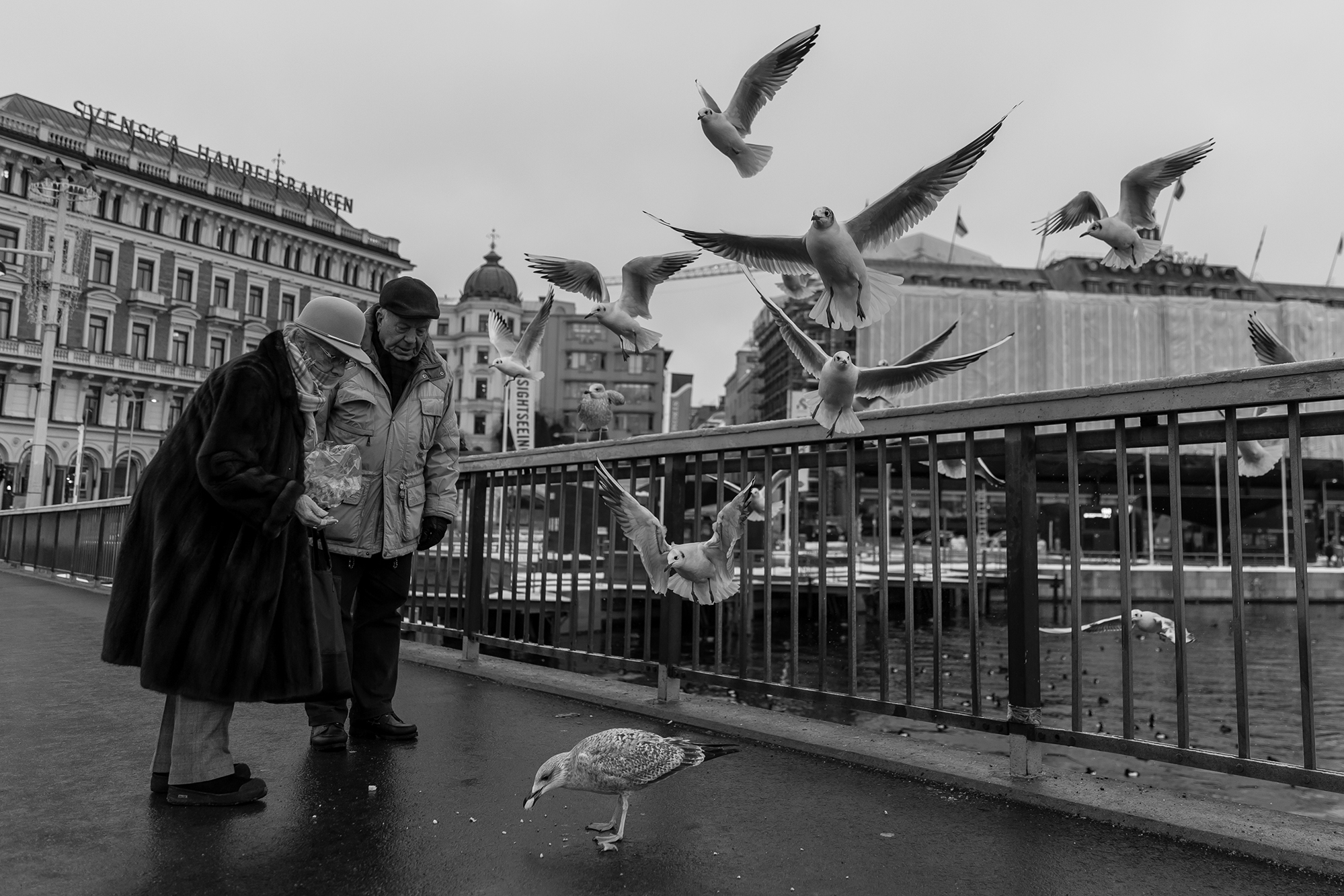 Artwork Stockholm 2 by shoresh mobasheri Artwork Stockholm 2 by shoresh mobasheri