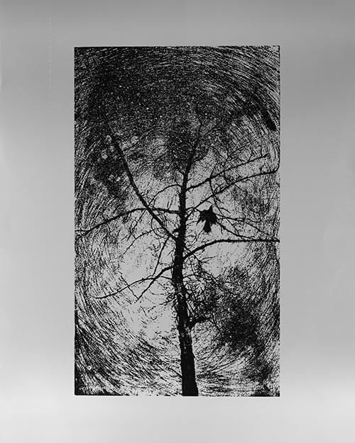 Artwork Untitled by Fatemeh Eslamian Artwork Untitled by Fatemeh Eslamian