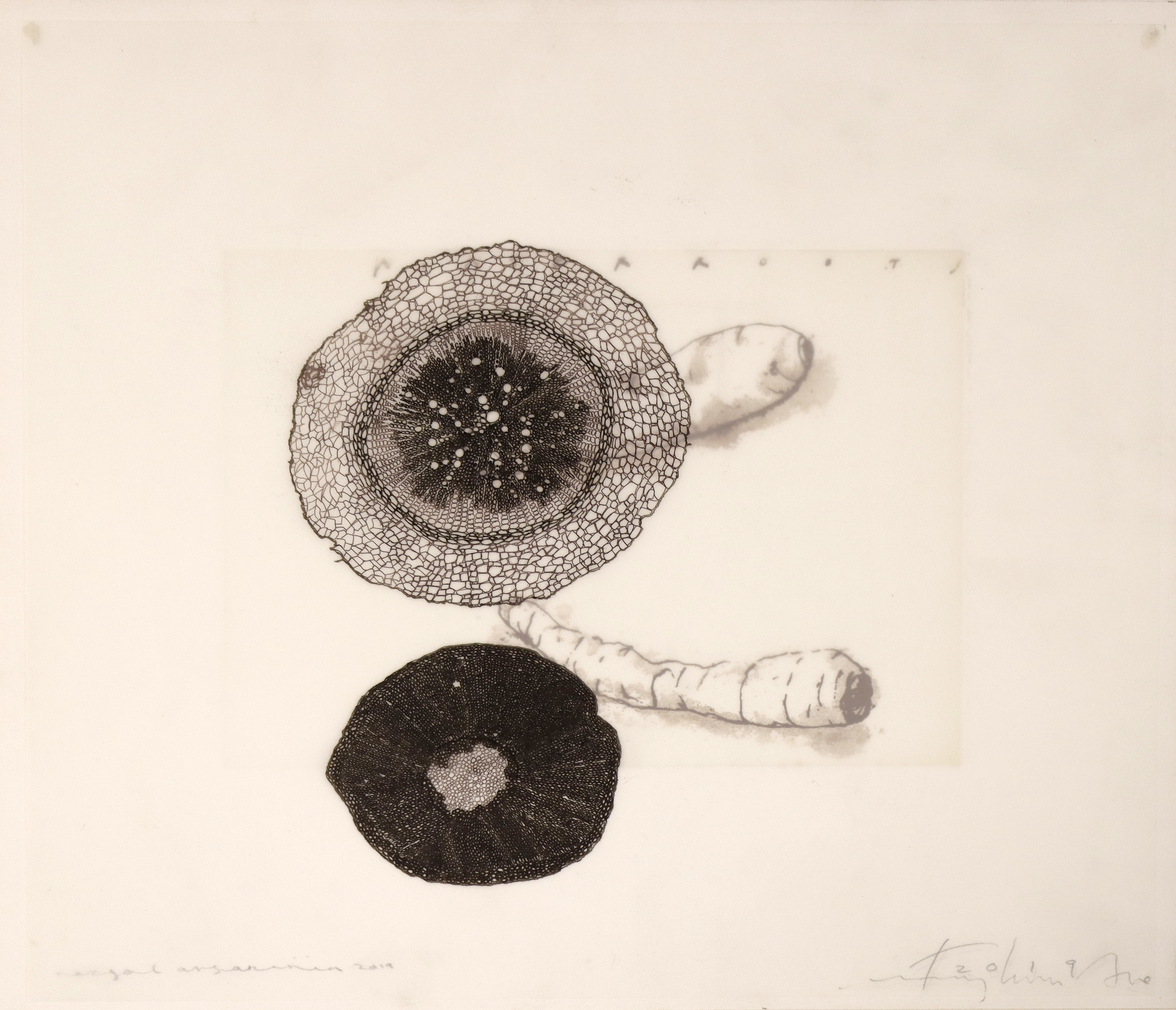 اثر بدون عنوان از فریدون آو اثر بدون عنوان از فریدون آو