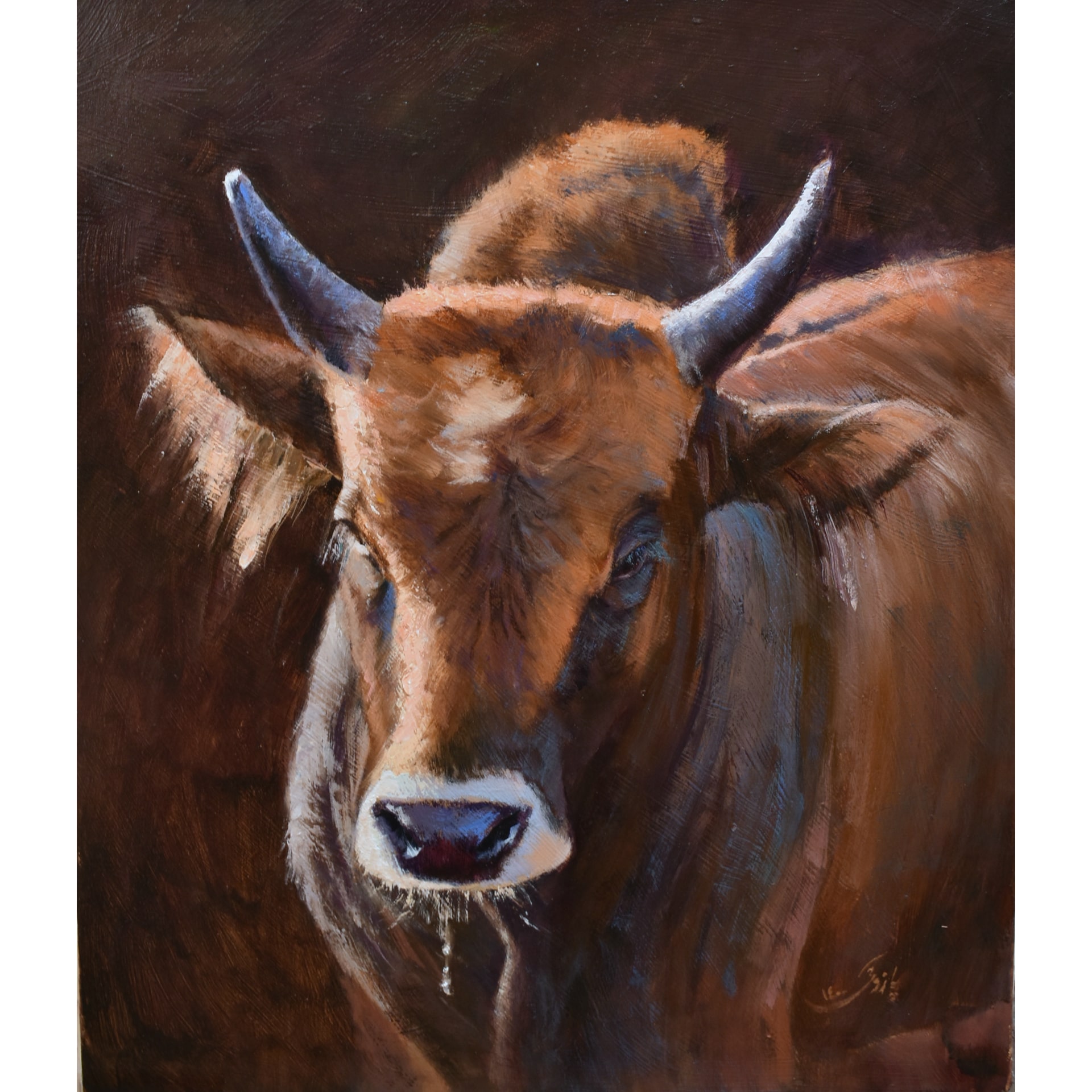 Artwork Bull by hamid pazoki Artwork Bull by hamid pazoki