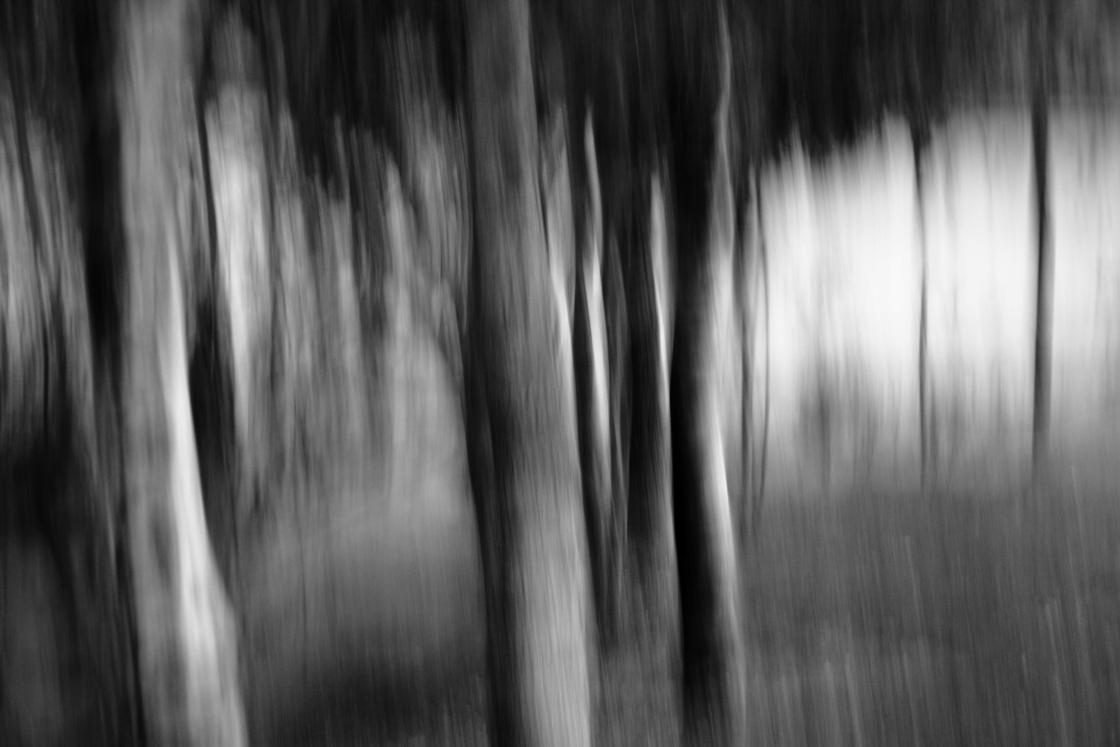 اثر ازدحام از مرجان قریشی اثر ازدحام از مرجان قریشی