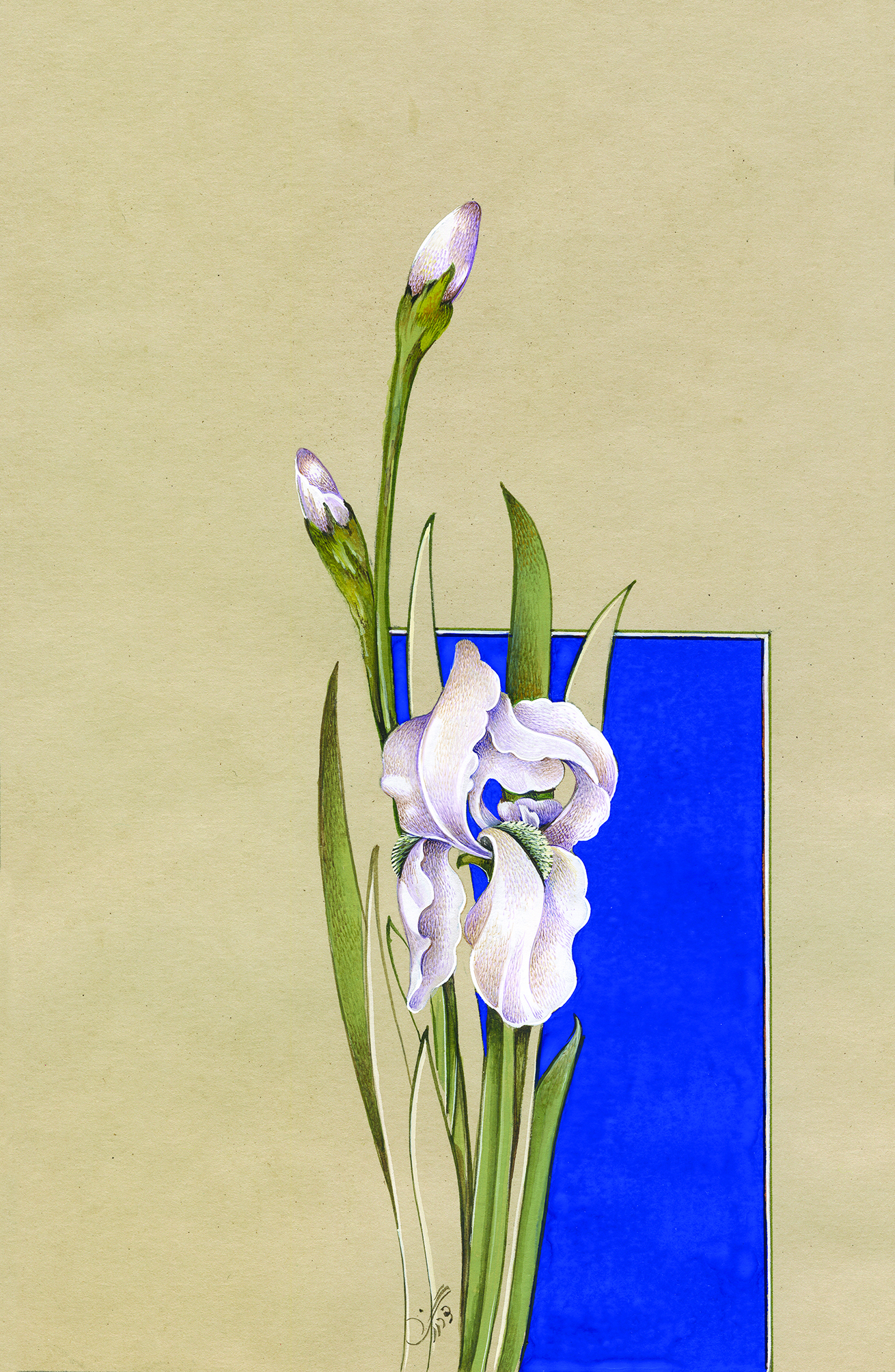 Artwork flower by maryam goodarzi Artwork flower by maryam goodarzi