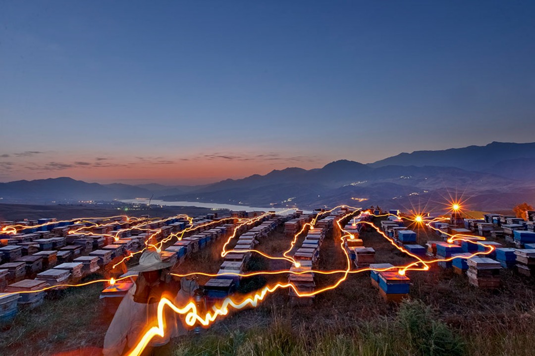 اثر بدون عنوان از علی رنجبران اثر بدون عنوان از علی رنجبران