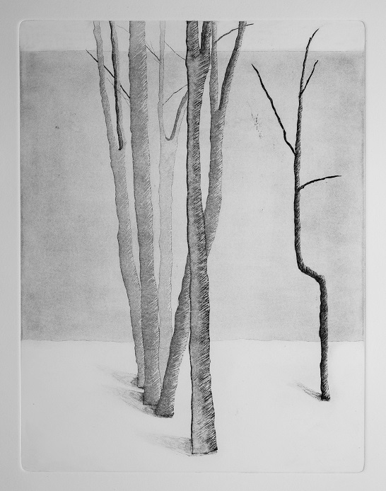 Artwork Garden of Silence 8 by Shokoufeh Fallah Artwork Garden of Silence 8 by Shokoufeh Fallah