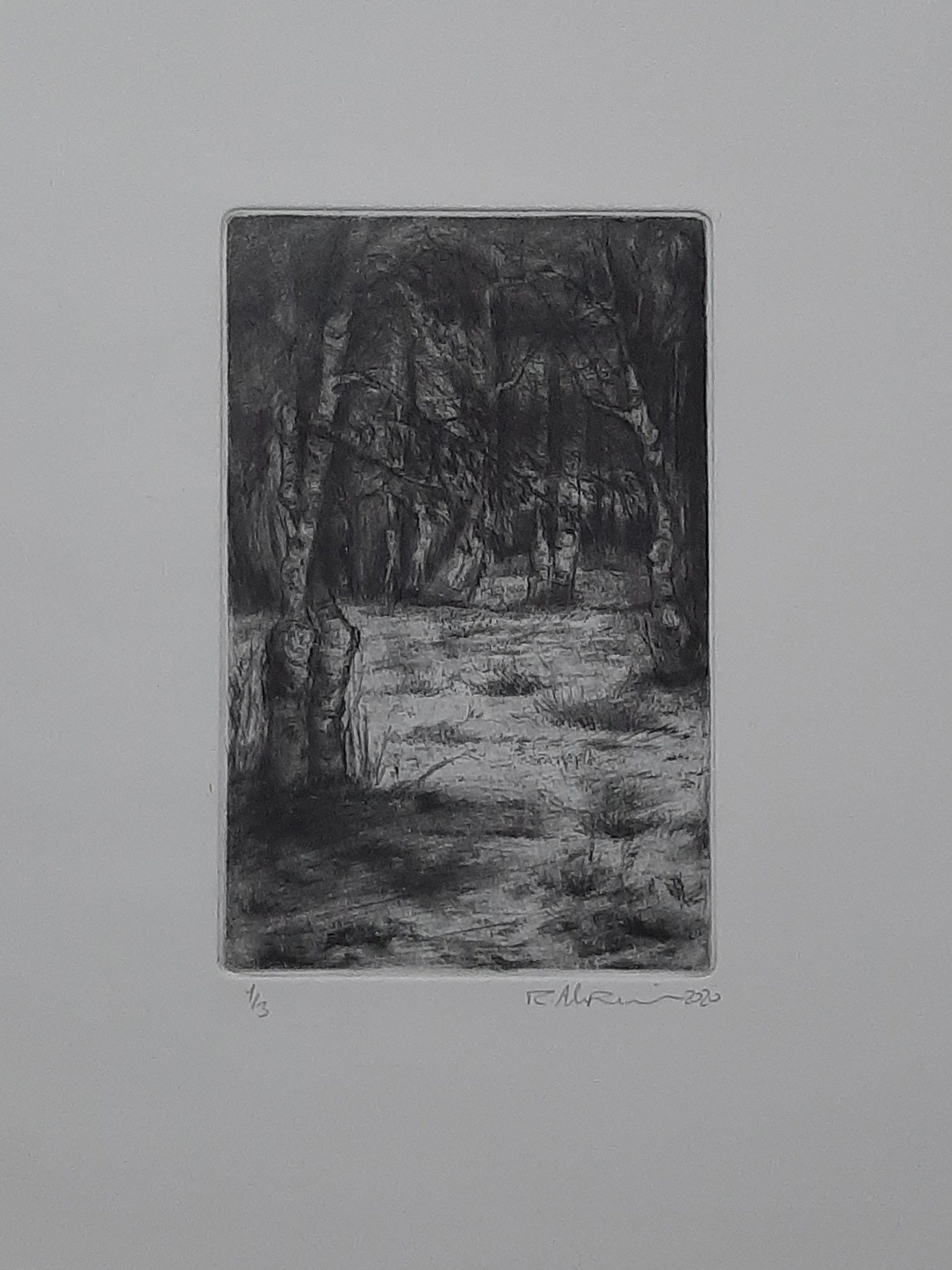 Artwork Untitled9 by Roya Alipour Artwork Untitled9 by Roya Alipour