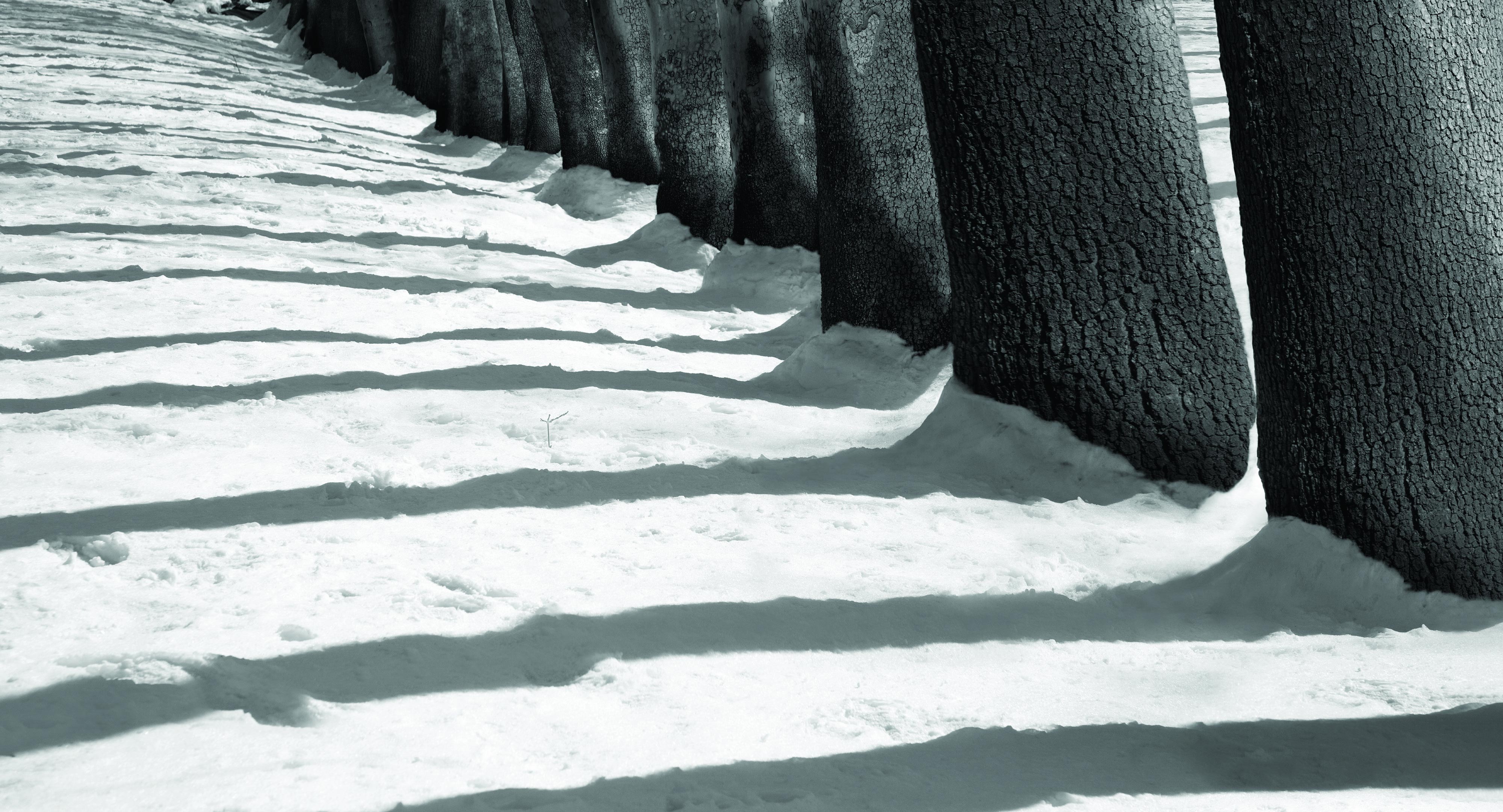 Artwork From the Snow White series by Abbas Kiarostami Artwork From the Snow White series by Abbas Kiarostami