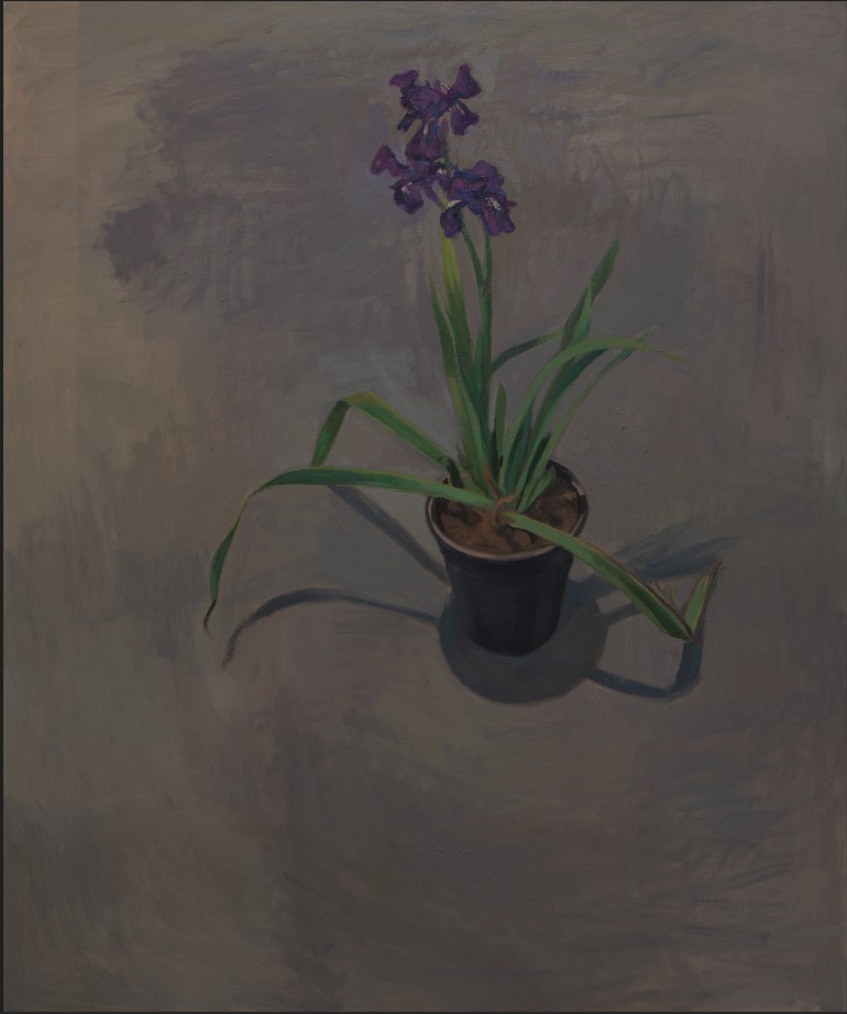 Artwork Irises by hossein shirahmadi Artwork Irises by hossein shirahmadi