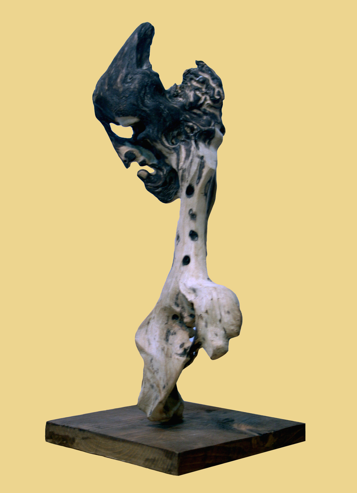 اثر بیاد پرتره داوینچی از سیاوش ذوالفقارپور اثر بیاد پرتره داوینچی از سیاوش ذوالفقارپور