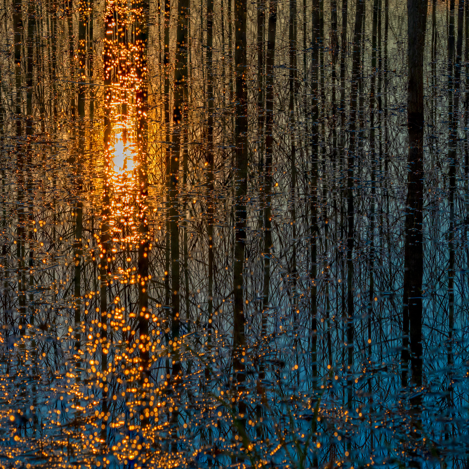 اثر سرد گرم از سعید محمودی ازناوه اثر سرد گرم از سعید محمودی ازناوه