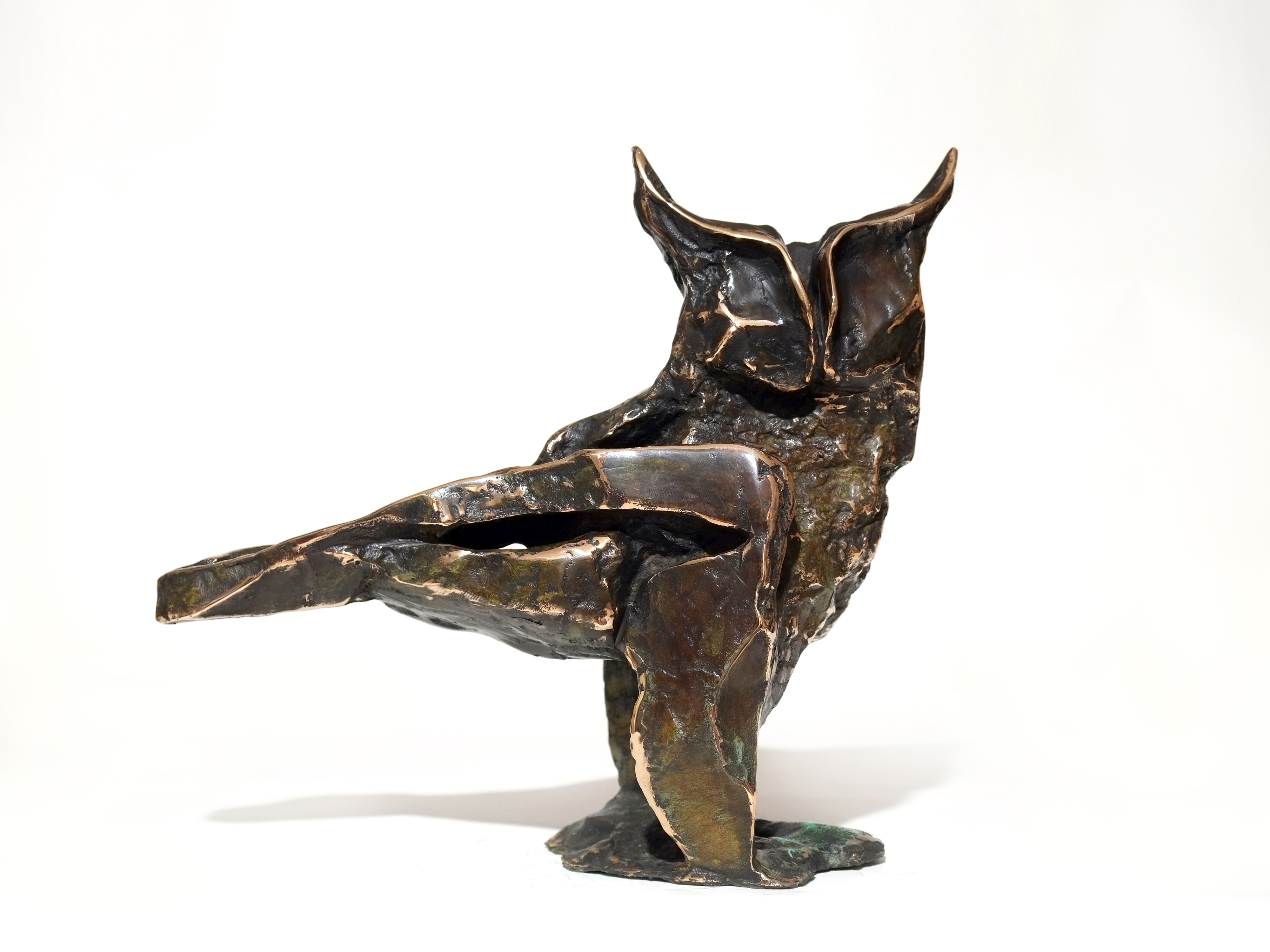 Artwork Moonlight Owl by Amin Aghaei Artwork Moonlight Owl by Amin Aghaei