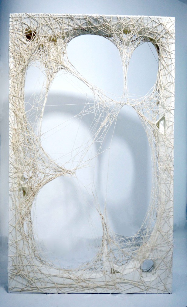 Artwork Permeation4 by Forozan Afruzi Artwork Permeation4 by Forozan Afruzi