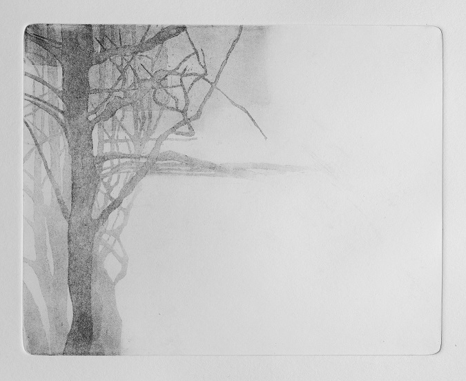 Artwork Garden of Silence 15 by Shokoufeh Fallah Artwork Garden of Silence 15 by Shokoufeh Fallah