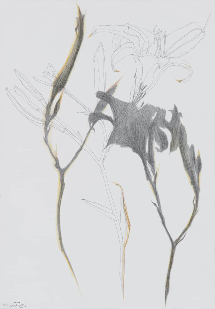 اثر بدون عنوان از نازیلا مقدم اثر بدون عنوان از نازیلا مقدم