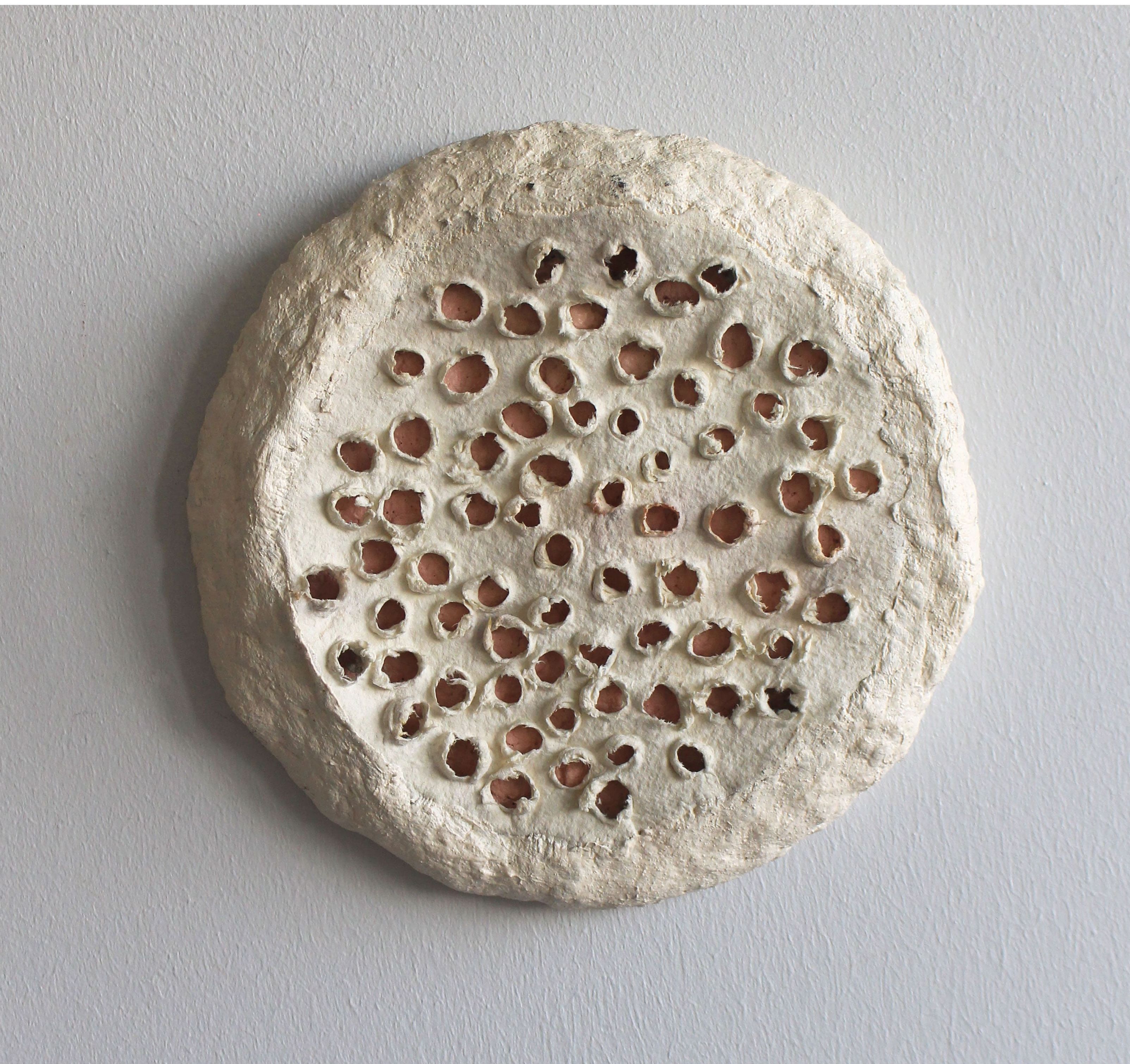 Artwork Revealed by Dana Dehghan Artwork Revealed by Dana Dehghan