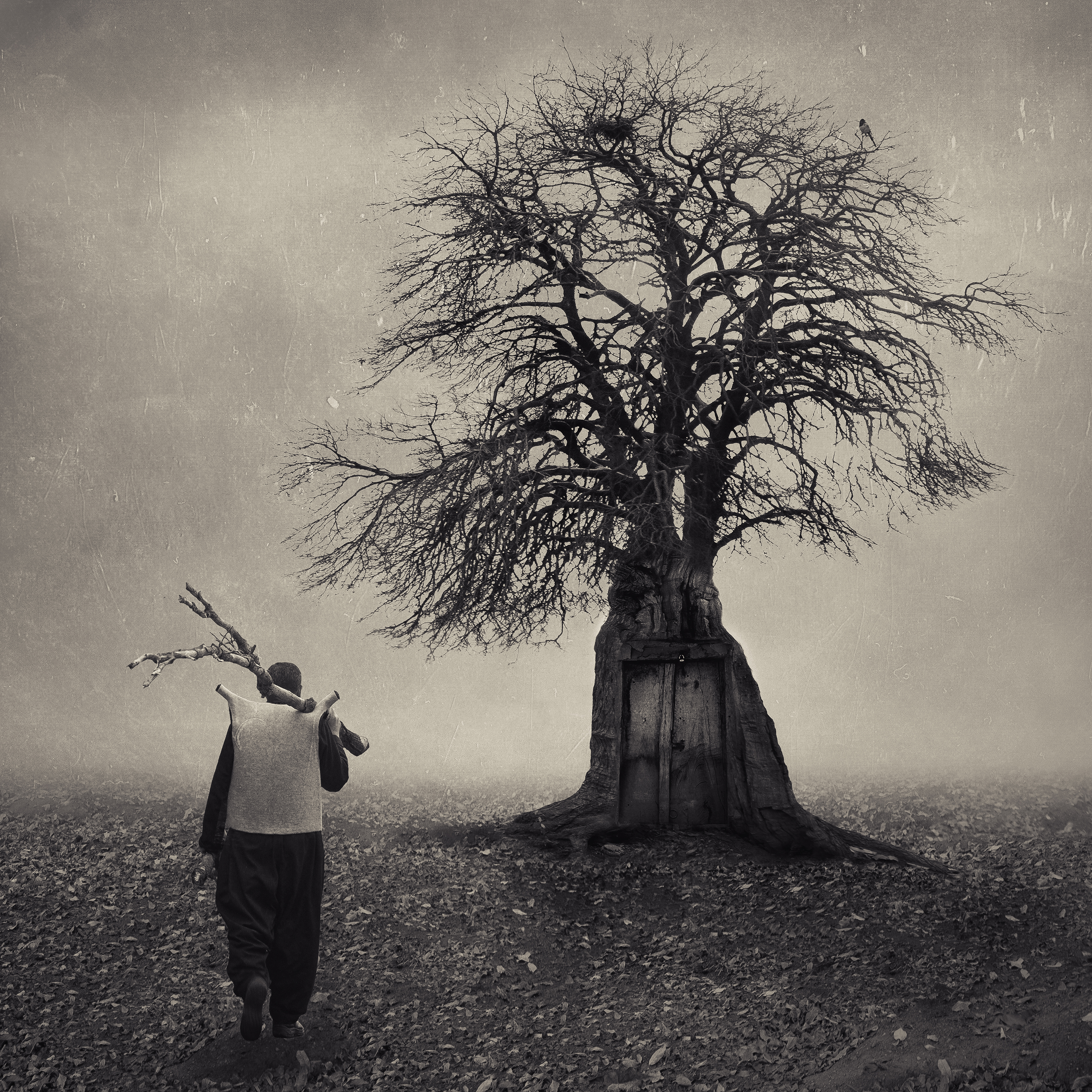 Artwork old2 by pejman shojaei Artwork old2 by pejman shojaei