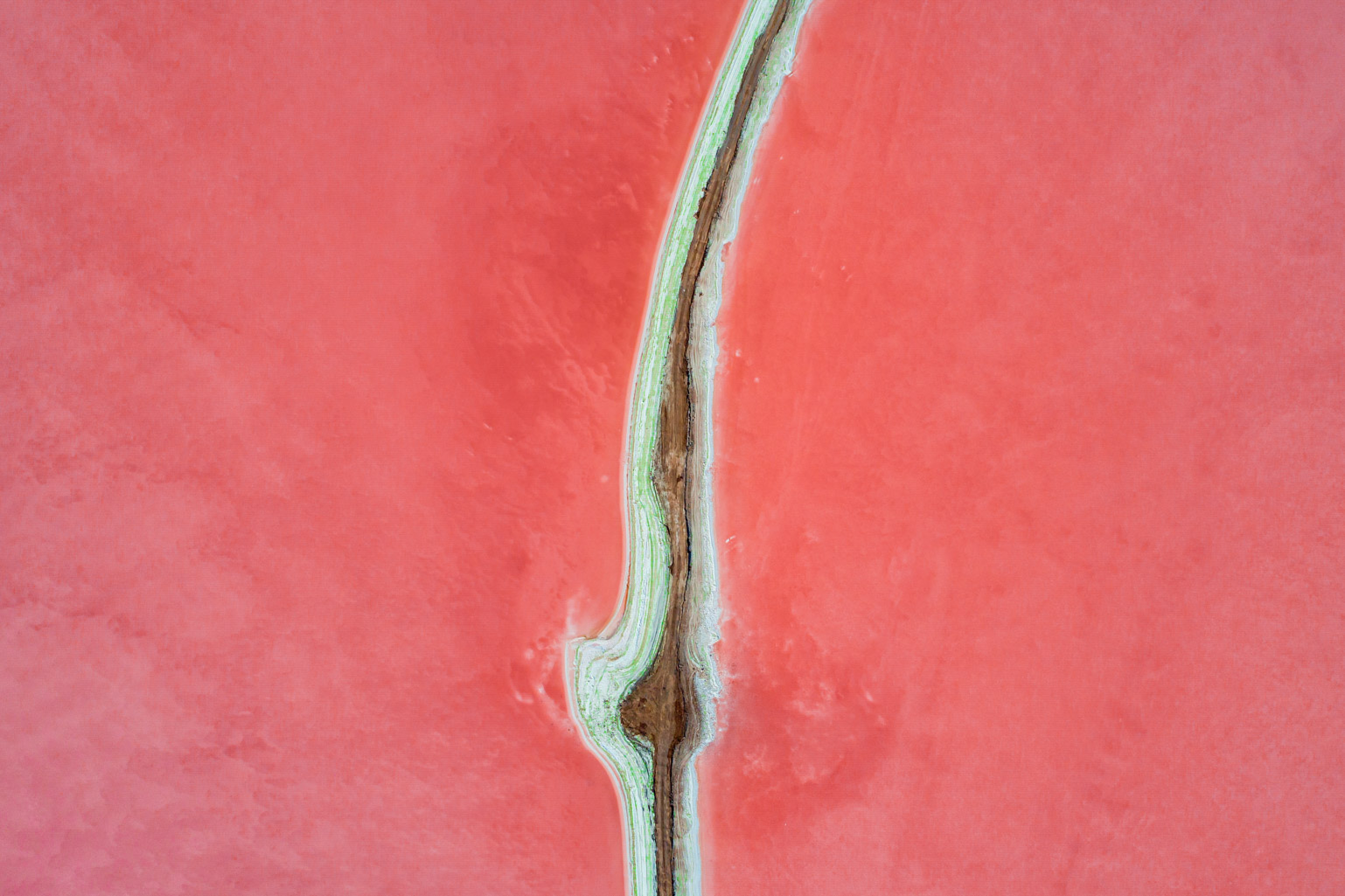 اثر عاشق لرزان از مجید حجتی (ماهو) اثر عاشق لرزان از مجید حجتی (ماهو)