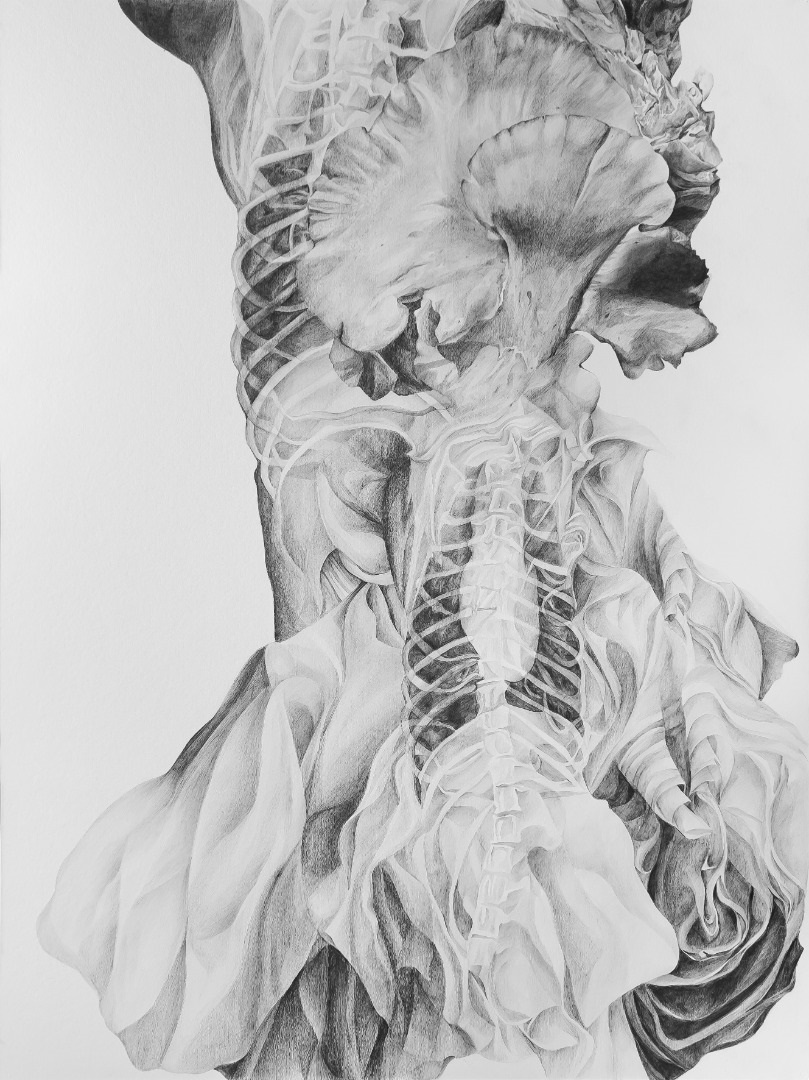 Artwork Untitled by Tara Azarm Artwork Untitled by Tara Azarm