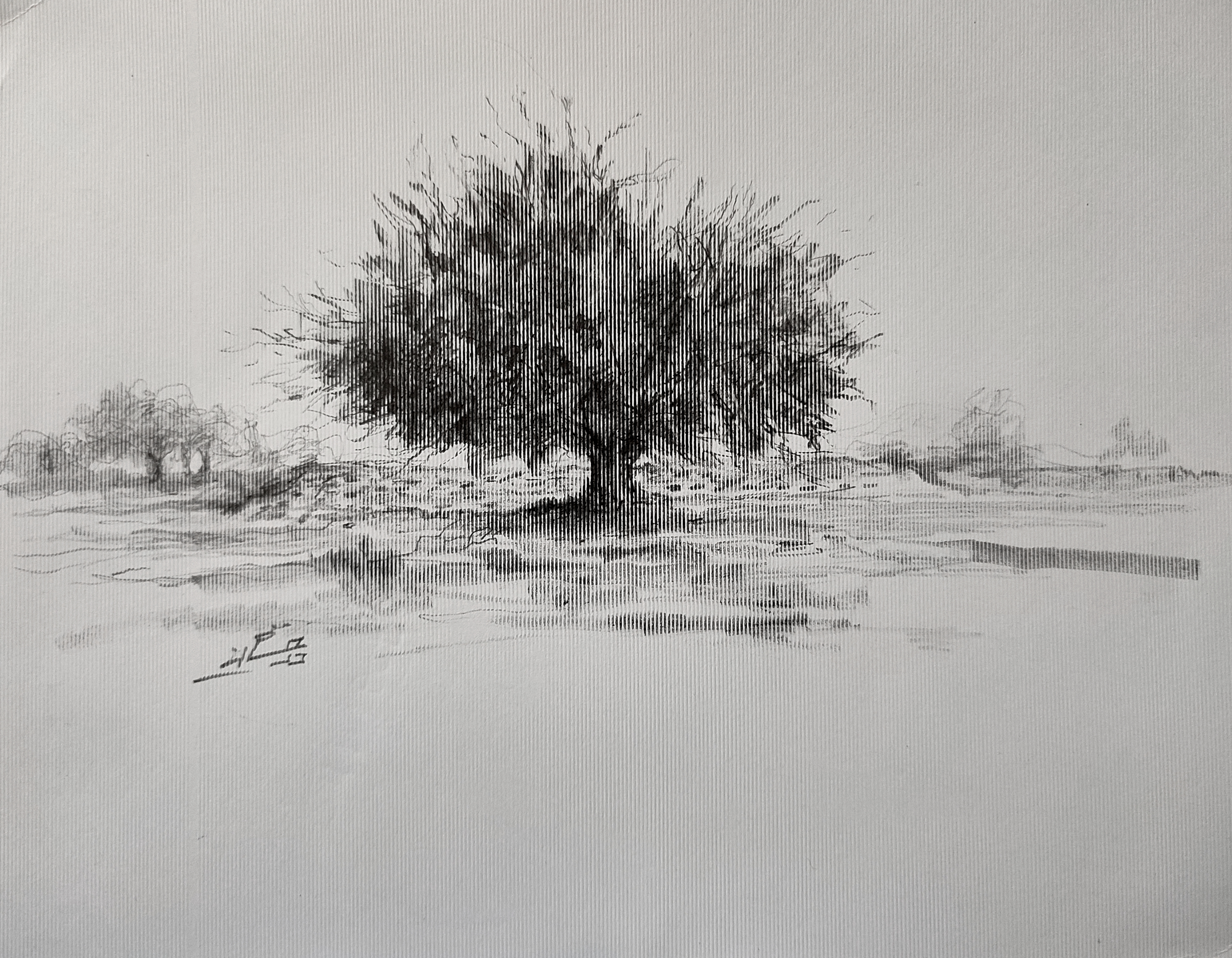 Artwork Tree by aboalghasem derakhshan Artwork Tree by aboalghasem derakhshan