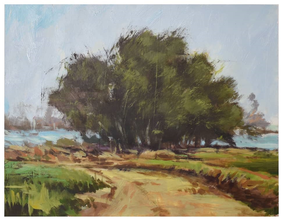 اثر طبیعت از امید فاضلی اثر طبیعت از امید فاضلی