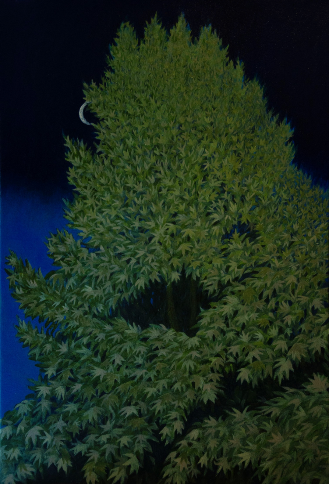 Artwork The tree of life by Anahita Darabbeigi Artwork The tree of life by Anahita Darabbeigi