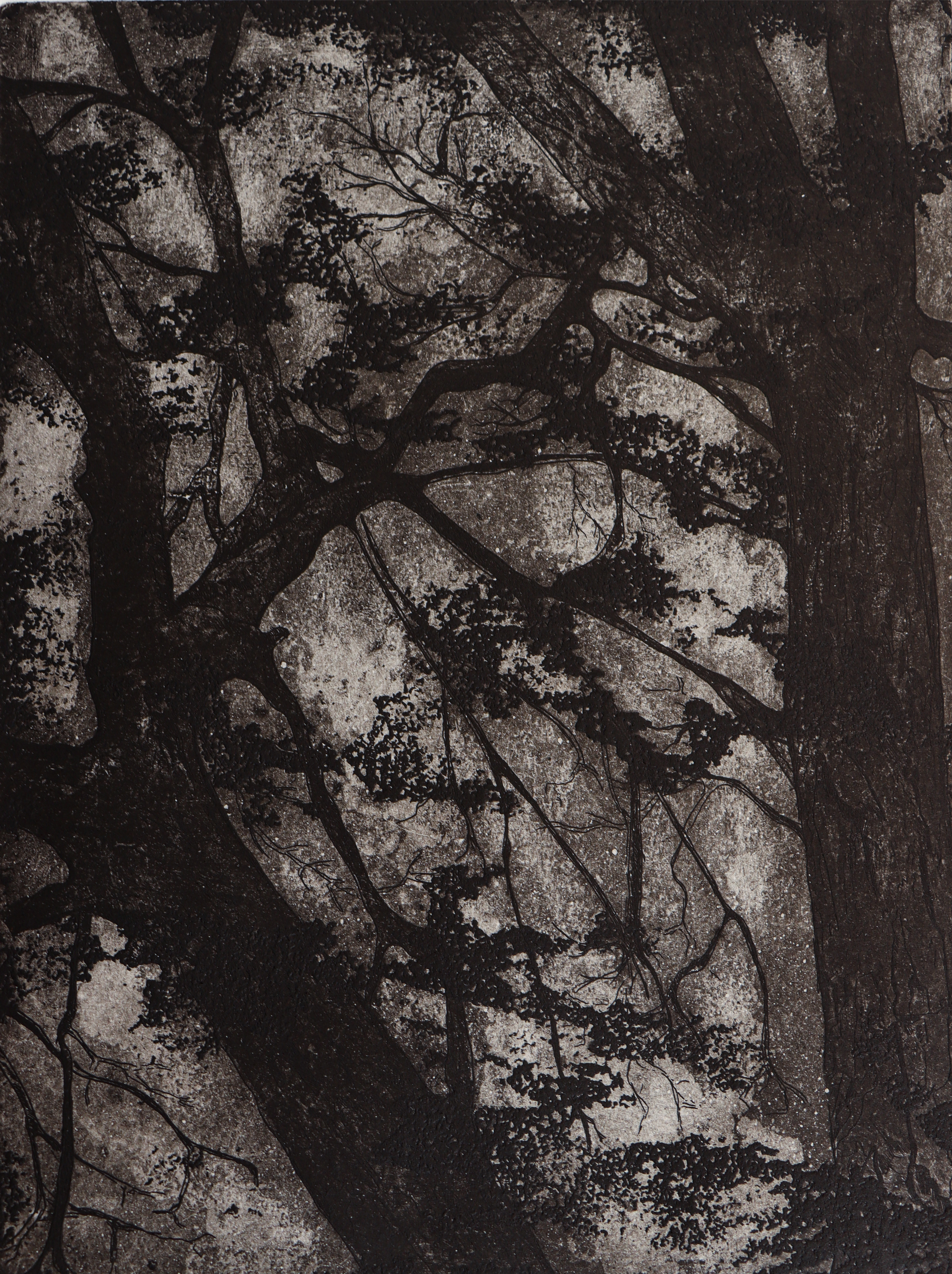 Artwork TIMELESS by Elham Radfar Artwork TIMELESS by Elham Radfar