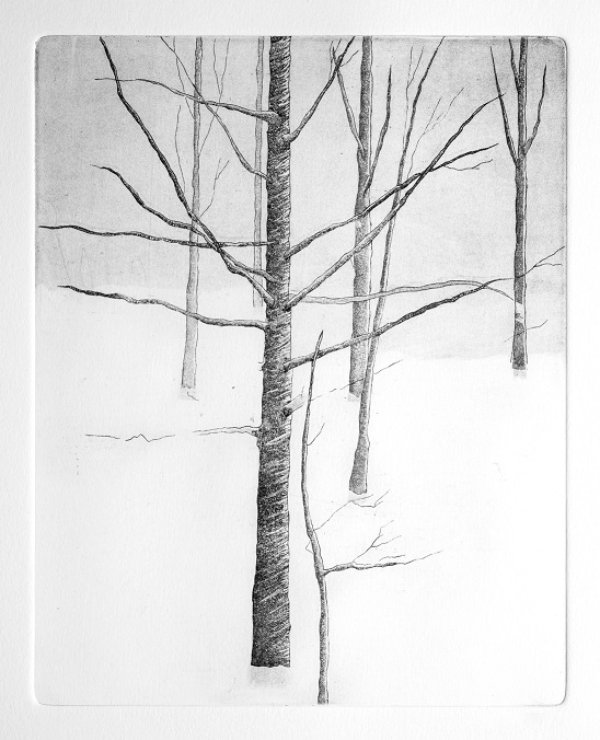 Artwork Garden of Silence 13 by Shokoufeh Fallah Artwork Garden of Silence 13 by Shokoufeh Fallah