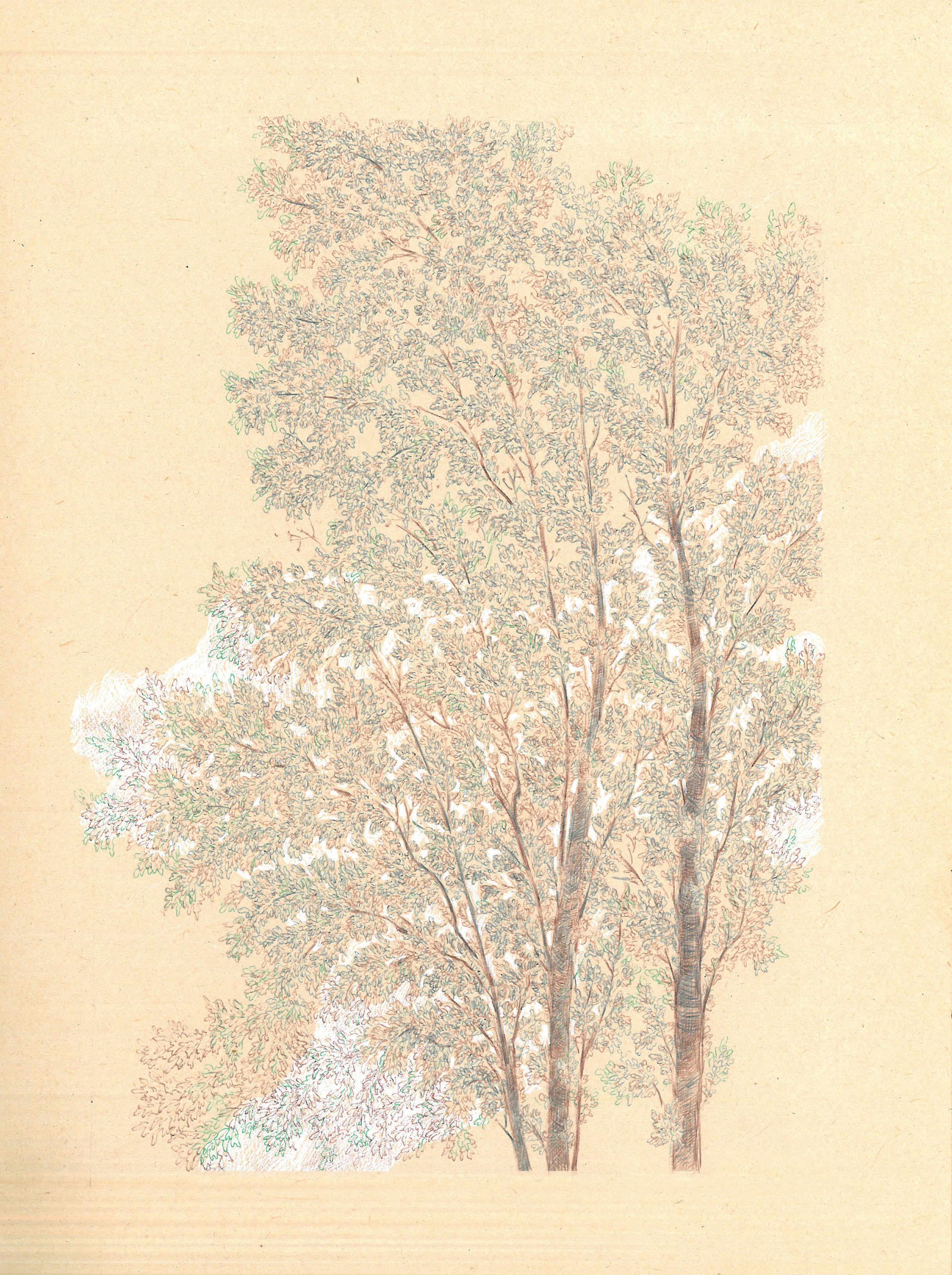 Artwork Untitled by Mahsa Arabzadeh Artwork Untitled by Mahsa Arabzadeh