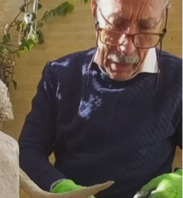 علی بهارلو علی بهارلو