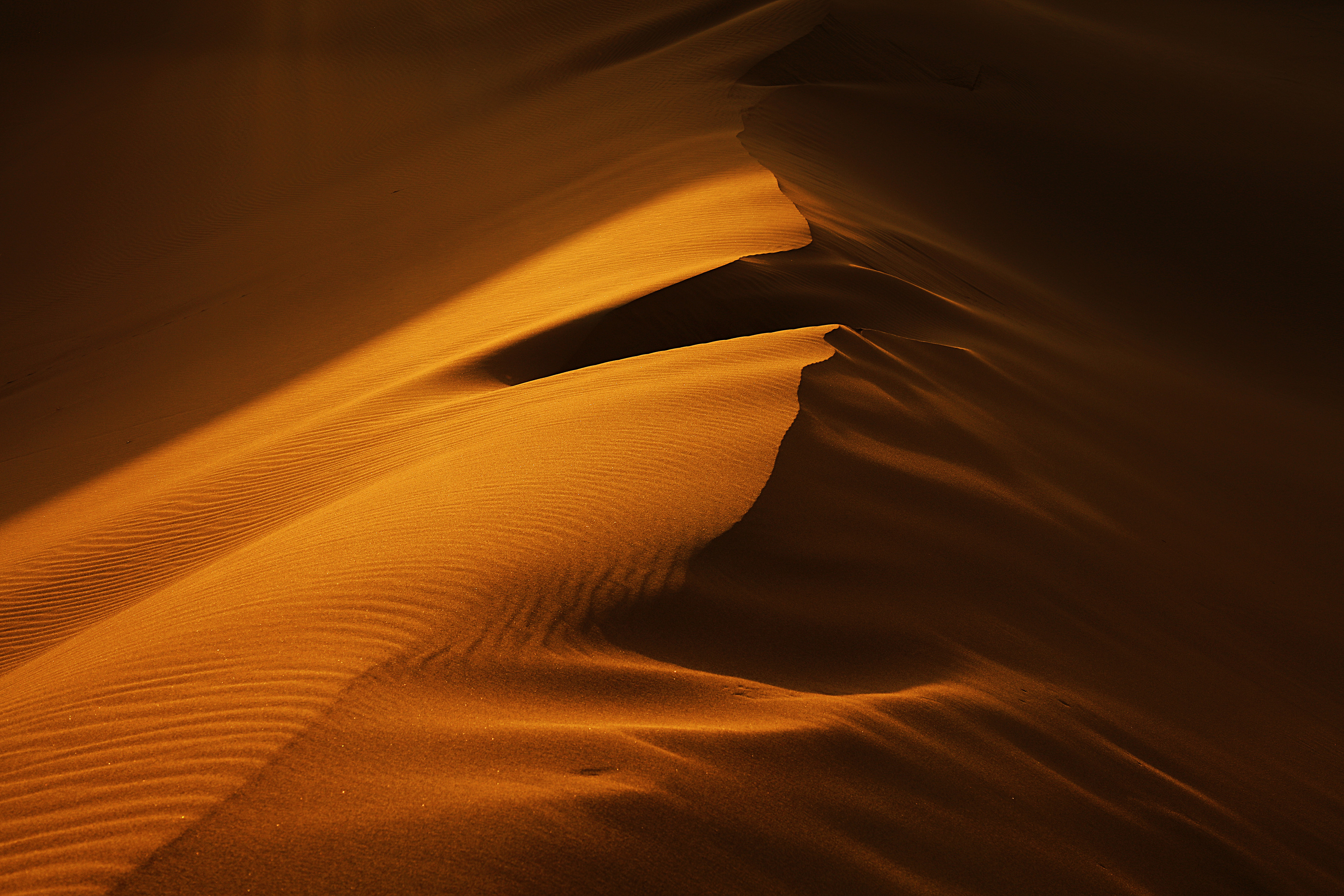 Artwork Desert by Ayla Hashemi Artwork Desert by Ayla Hashemi