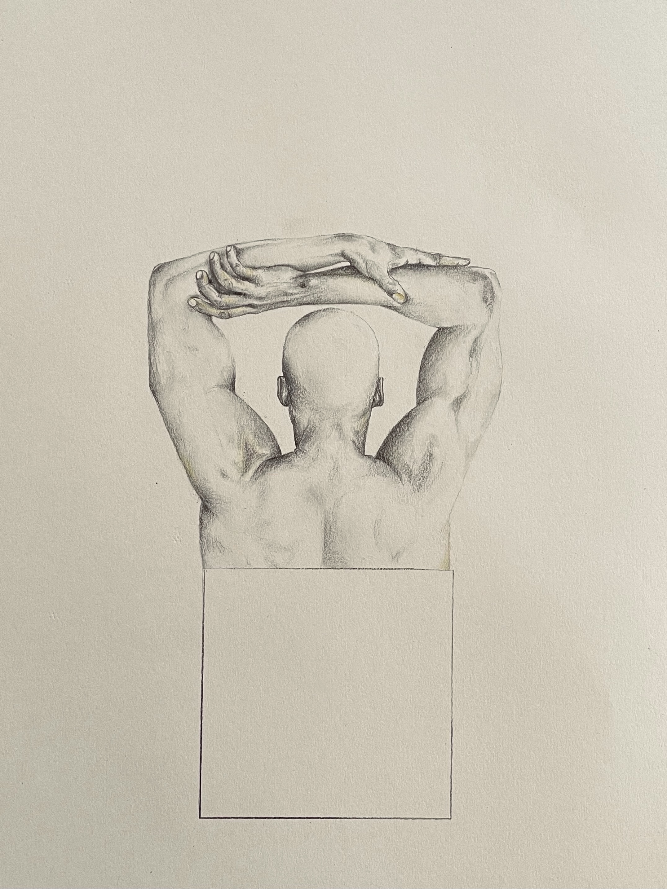 Artwork walnut tree by Parinaz Hashemi Artwork walnut tree by Parinaz Hashemi