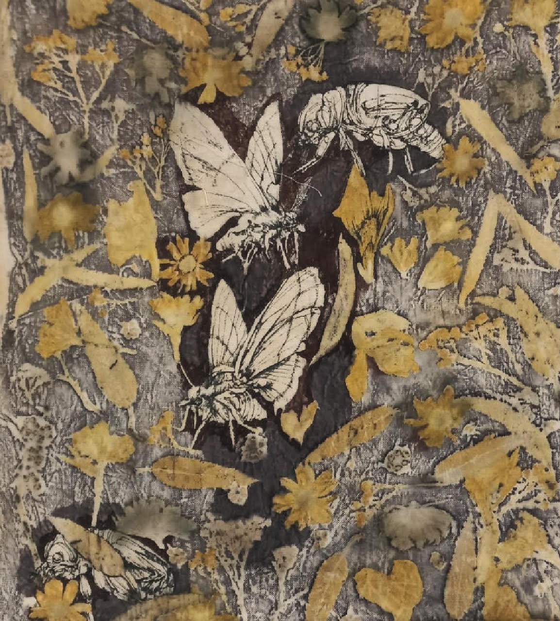 Artwork Untitled by Sheyda Gorji Dooz Artwork Untitled by Sheyda Gorji Dooz