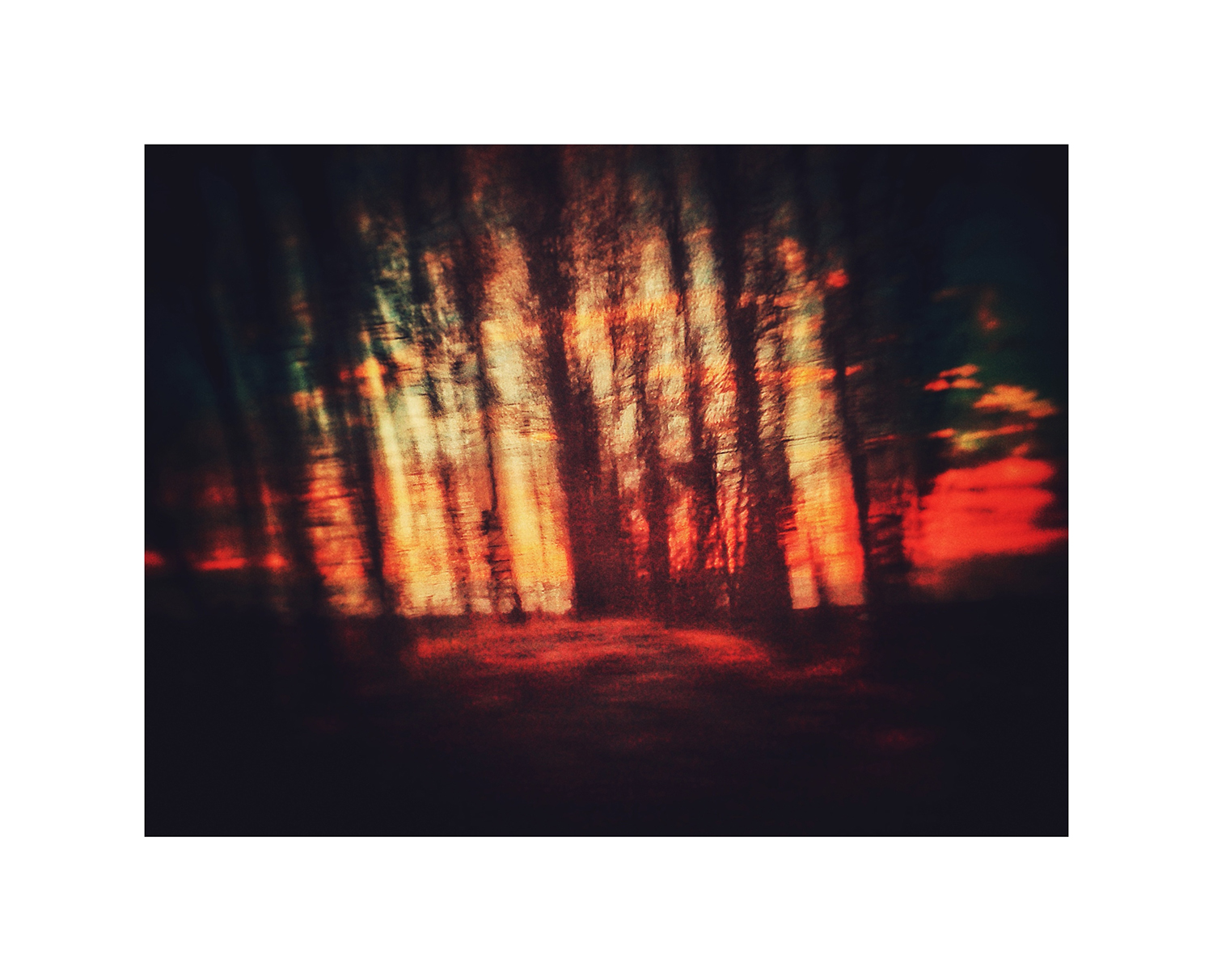 اثر مراسم تدفین از نوید احمدزاده اثر مراسم تدفین از نوید احمدزاده