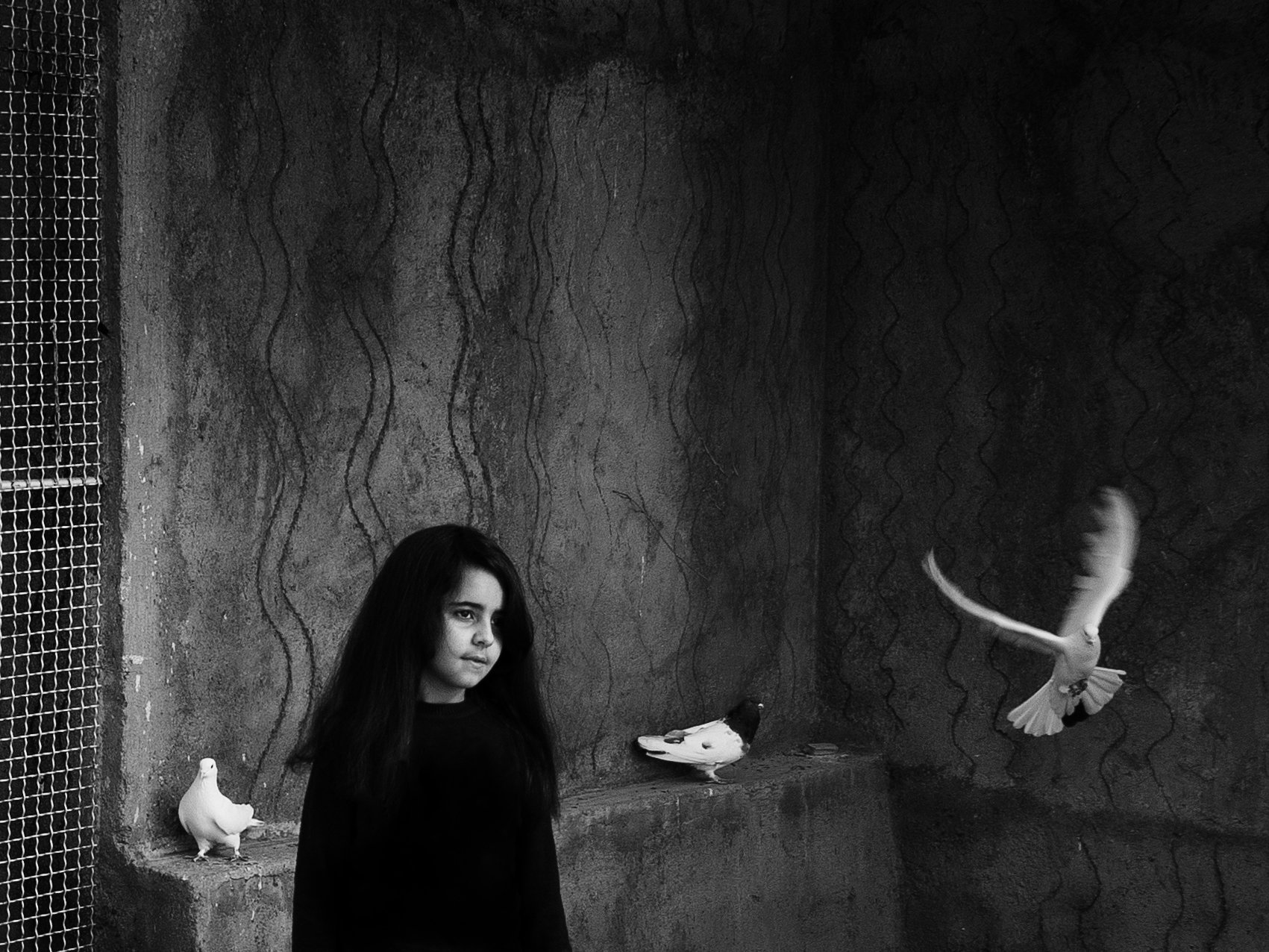 اثر پرواز از وحید تهامی اثر پرواز از وحید تهامی