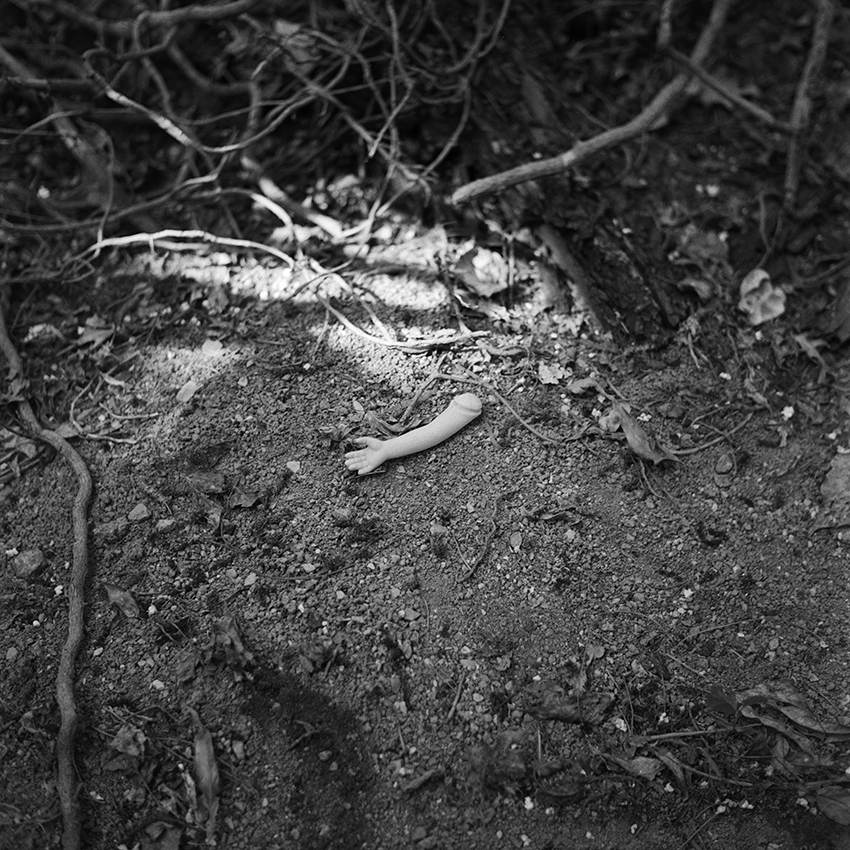 Artwork Hoofar Haghigh-02 by Hoofar Haghighi Artwork Hoofar Haghigh-02 by Hoofar Haghighi