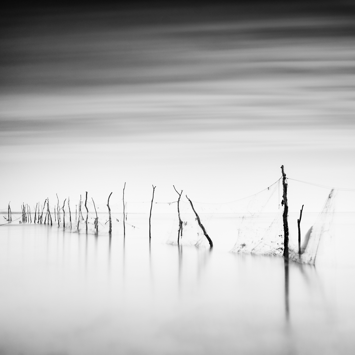 Artwork untitled by Pooyan Shadpoor Artwork untitled by Pooyan Shadpoor