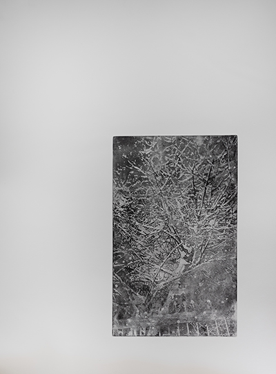 Artwork Untitled by Fatemeh Eslamian Artwork Untitled by Fatemeh Eslamian