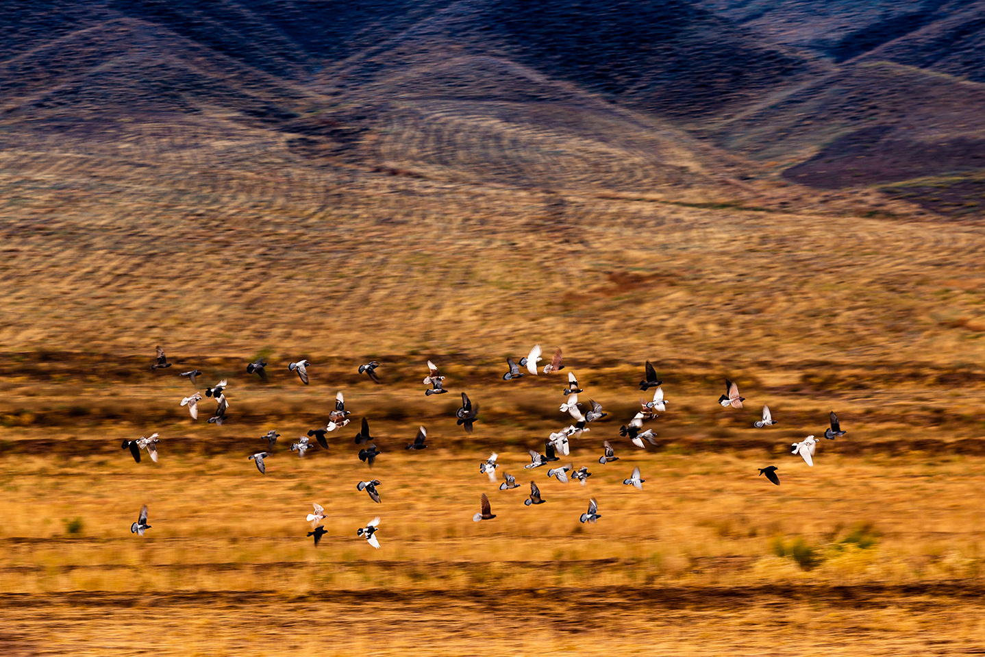 با من بمان | | آرتیبیشن گالری با من بمان | | آرتیبیشن گالری