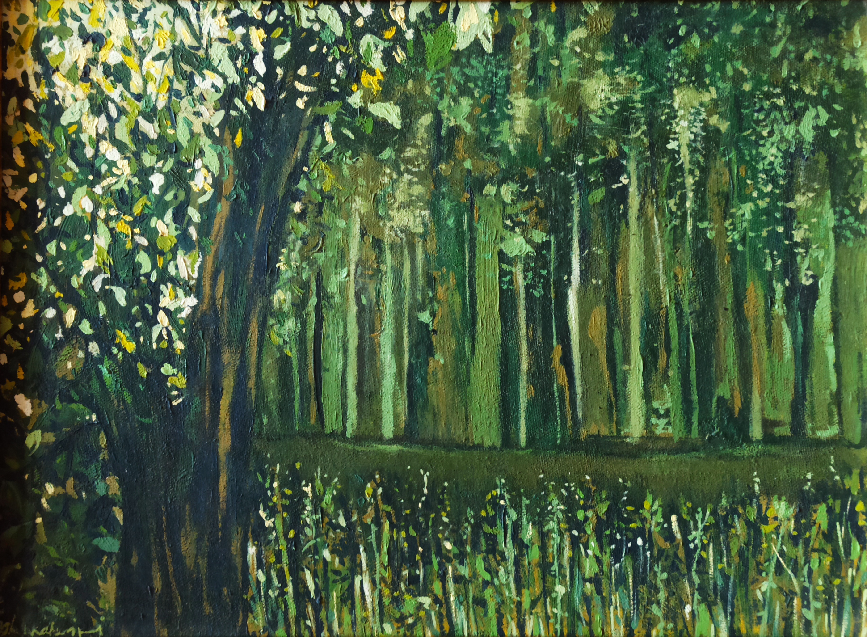 اثر درختها یک از فاطمه آقاکبیری اثر درختها یک از فاطمه آقاکبیری