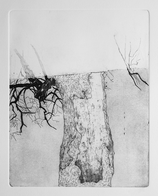 Artwork Garden of Silence 2 by Shokoufeh Fallah Artwork Garden of Silence 2 by Shokoufeh Fallah