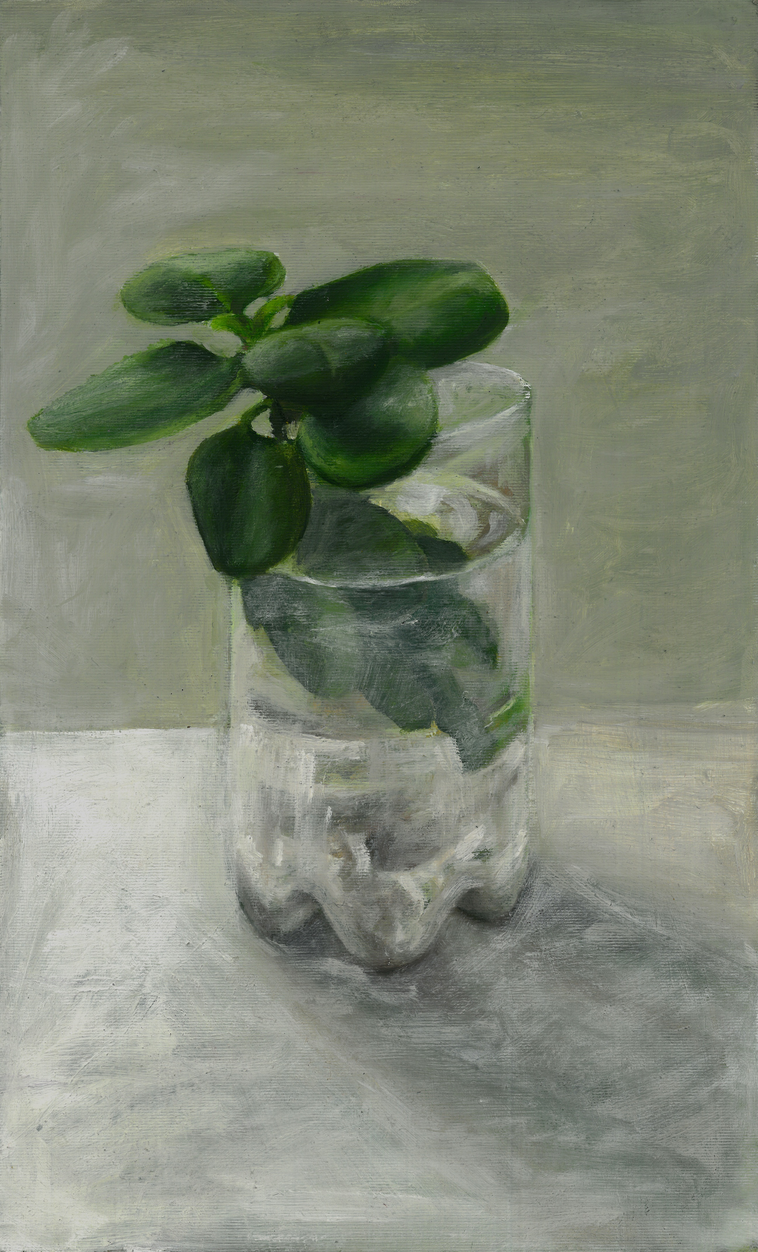 جایی که گلها هوا را مطبوع می کنند جایی که گلها هوا را مطبوع می کنند | - | -