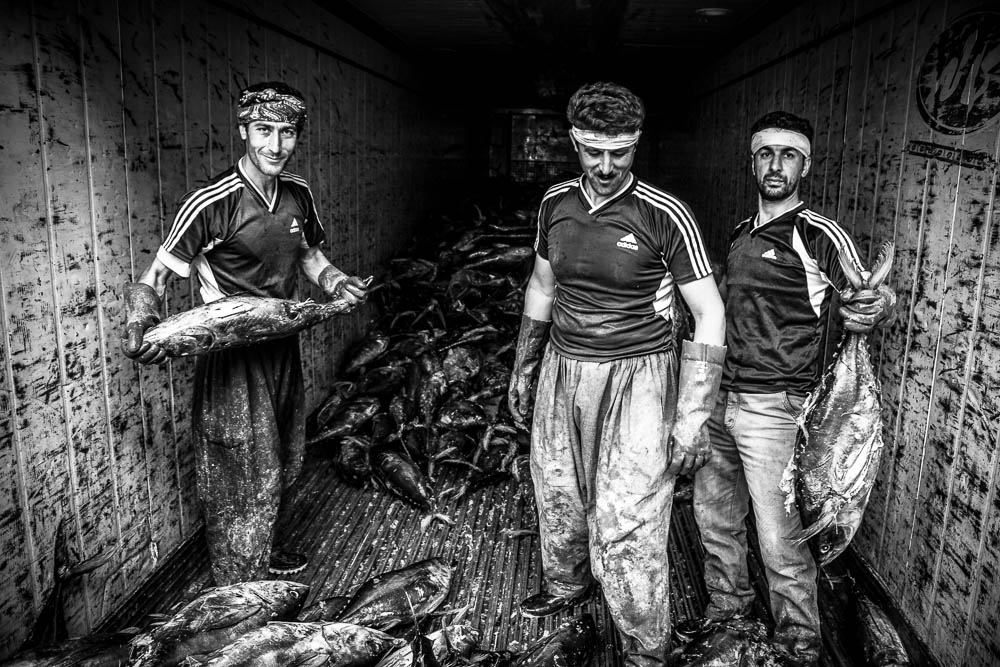 اثر دریاسوختگان22 از شهروز حیدری اثر دریاسوختگان22 از شهروز حیدری