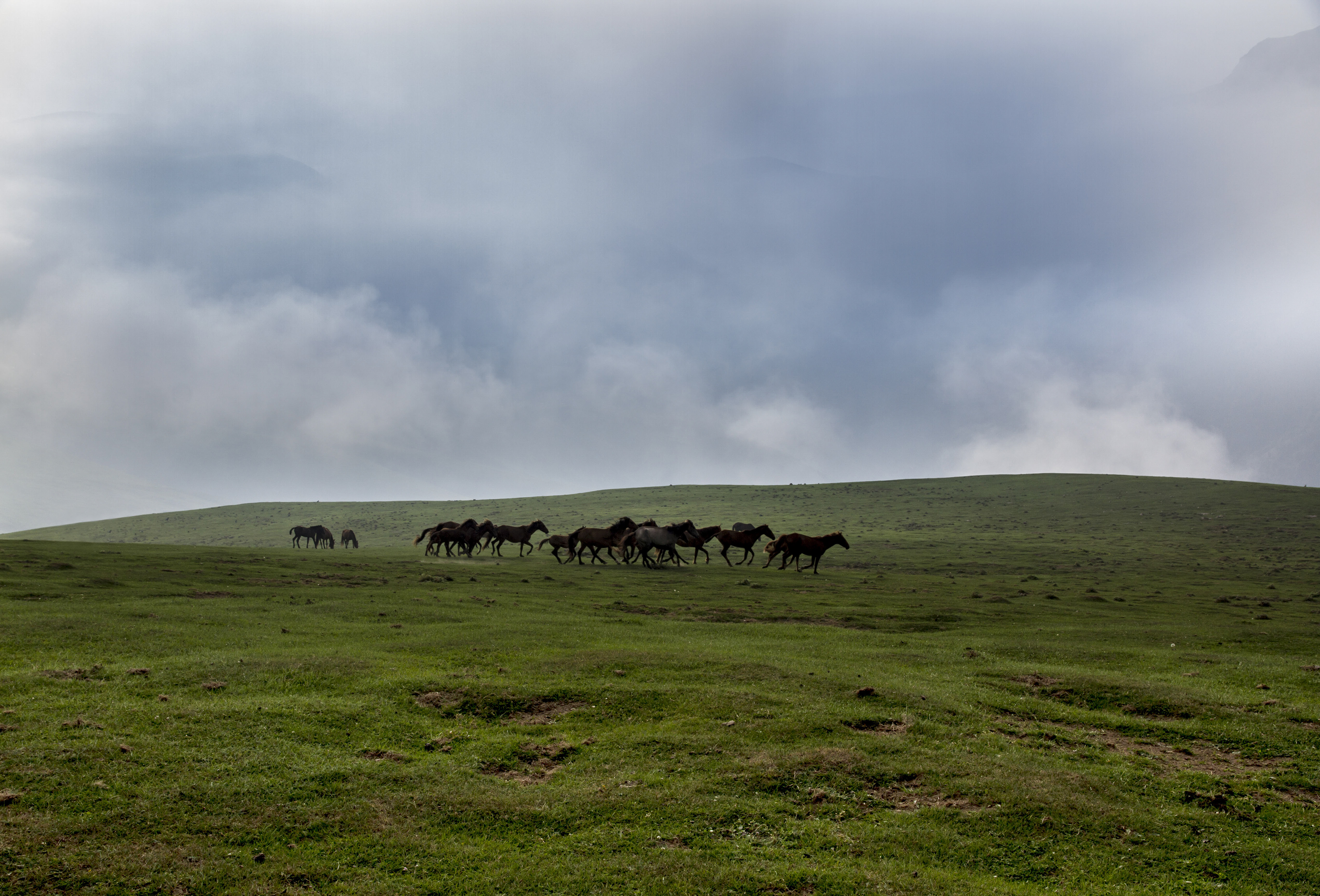 Artwork In the middle of the plain by pegah ghadiri Artwork In the middle of the plain by pegah ghadiri