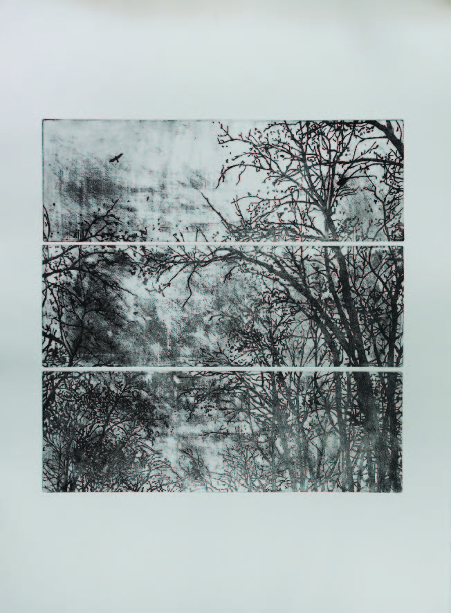 اثر بدون عنوان از فاطمه اسلامیان اثر بدون عنوان از فاطمه اسلامیان