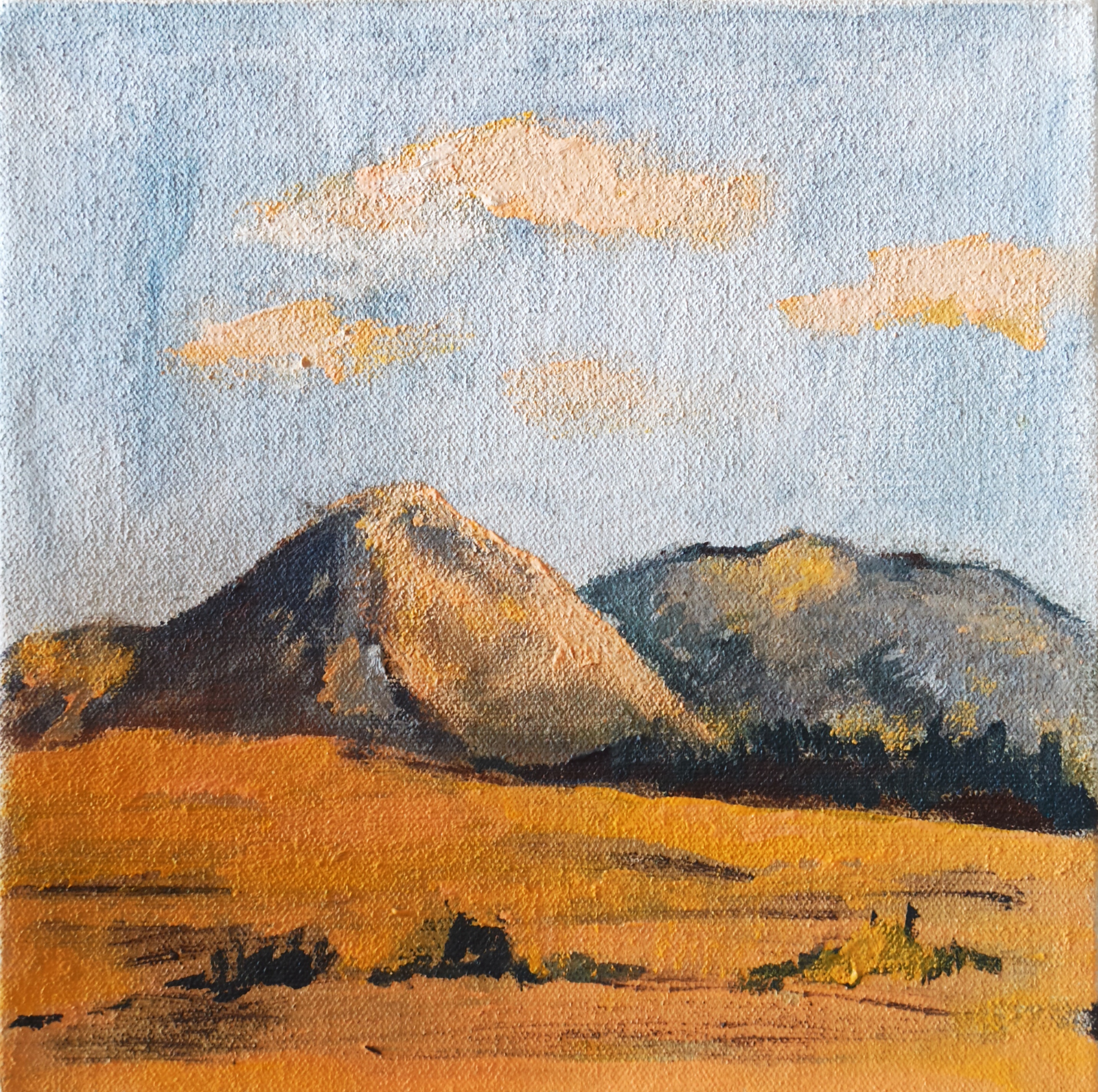 اثر طبیعت کوچک از فاطمه آقاکبیری اثر طبیعت کوچک از فاطمه آقاکبیری