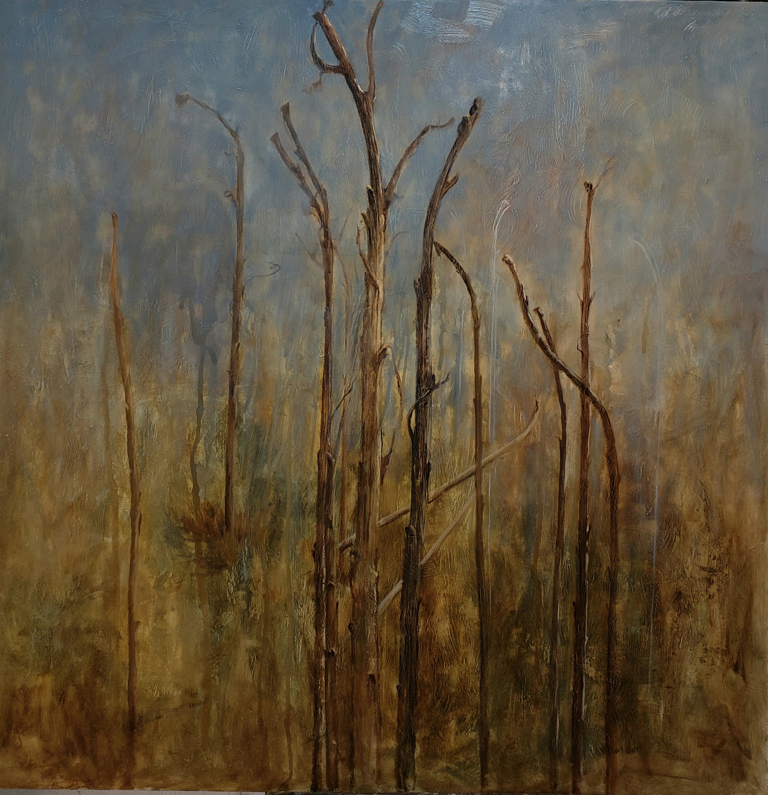 اثر بدون عنوان9 از محمد جواد طاهرخانی اثر بدون عنوان9 از محمد جواد طاهرخانی