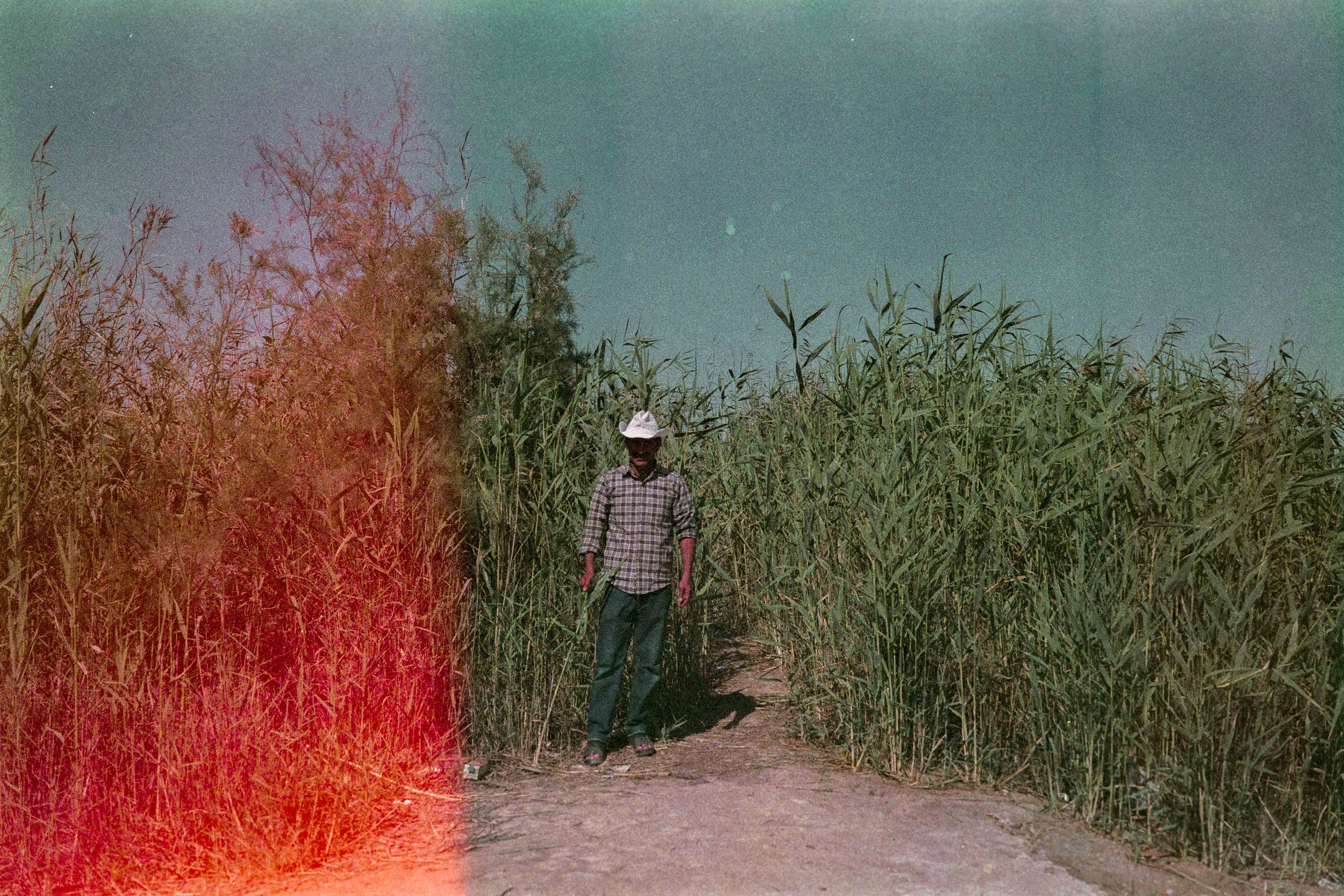 اثر مرد ماهیگیر از اکبر ظاهری اثر مرد ماهیگیر از اکبر ظاهری